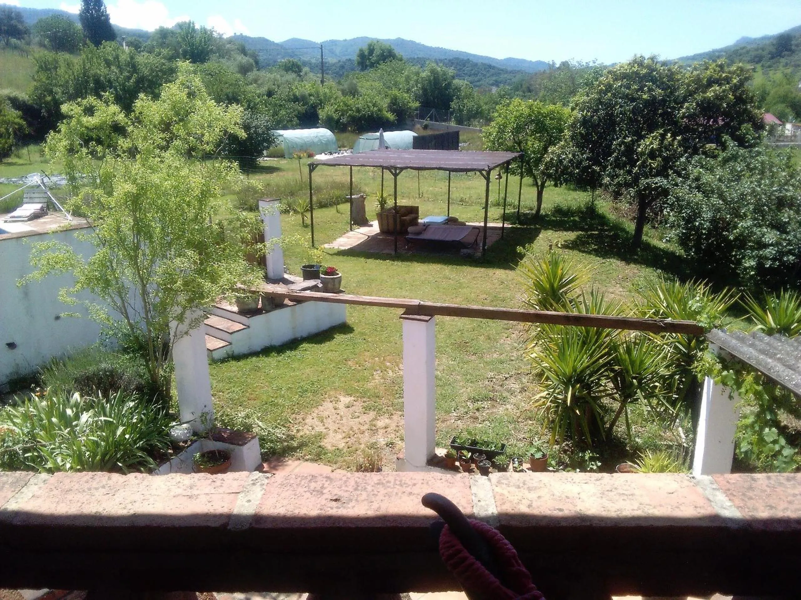 View (from property/room) in Finca La Rana Verde