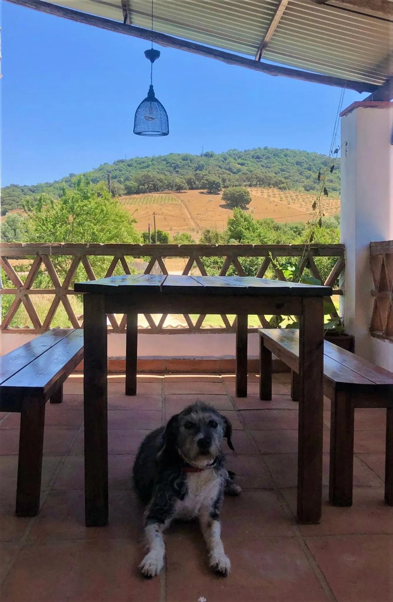 View (from property/room) in Finca La Rana Verde