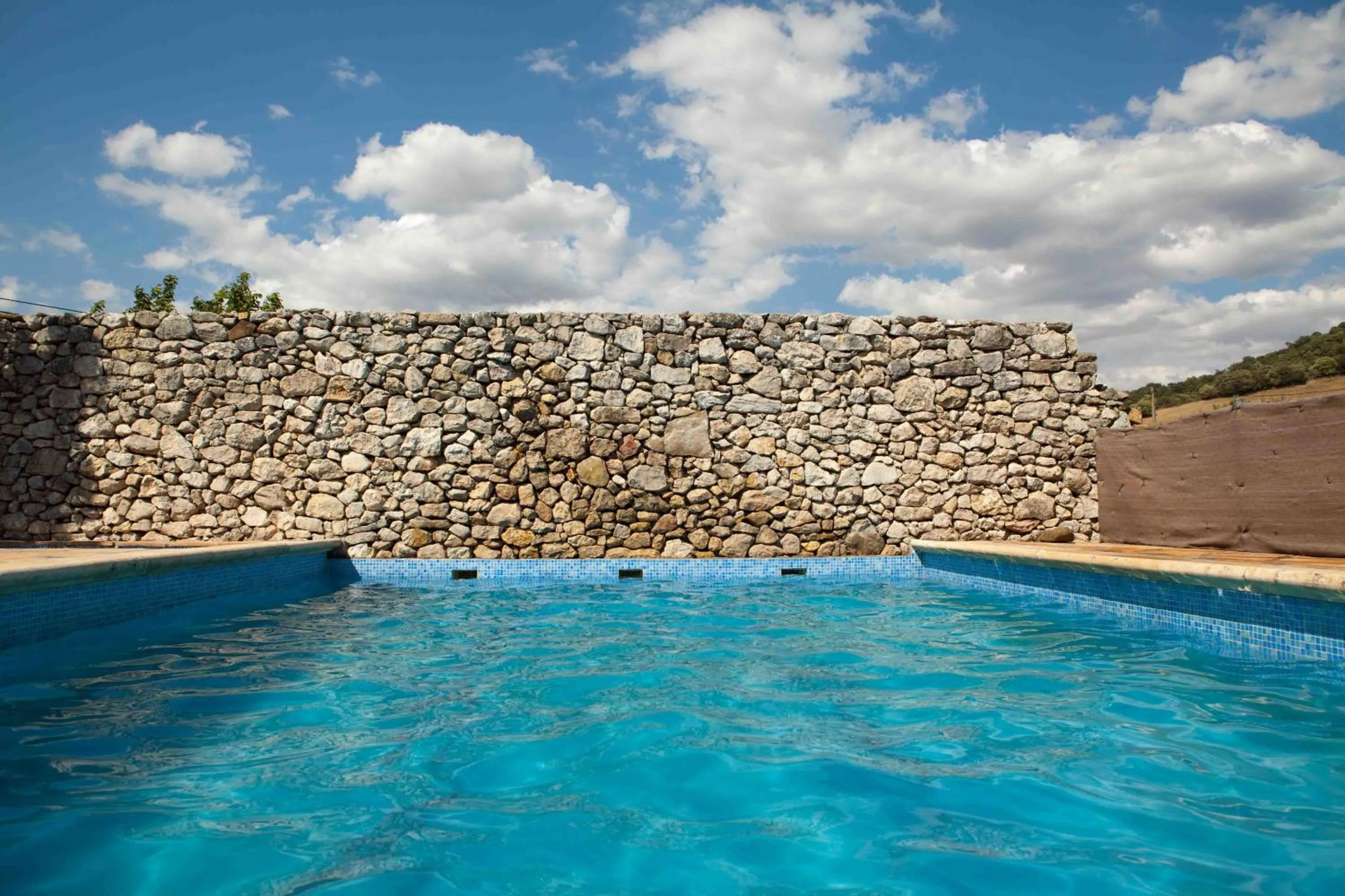 Swimming pool in Finca La Rana Verde