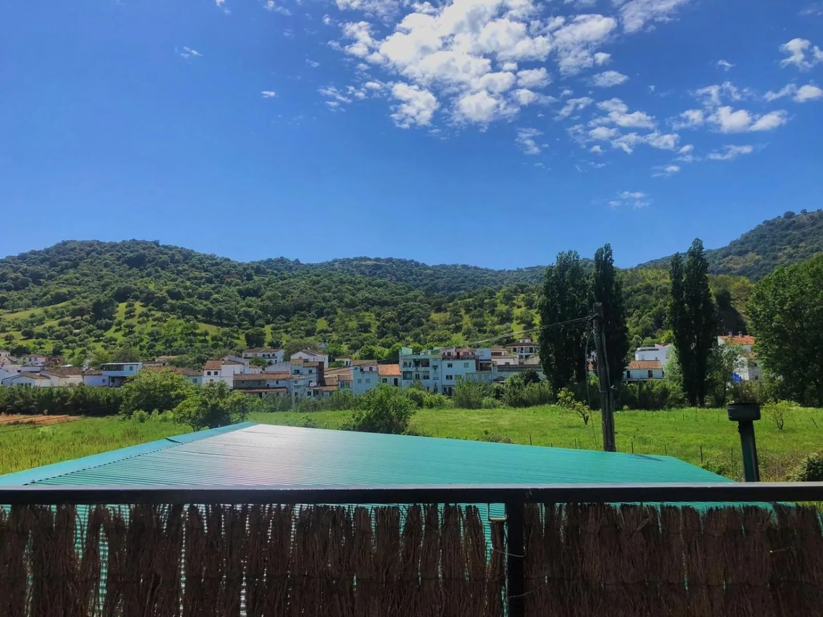 View (from property/room) in Finca La Rana Verde