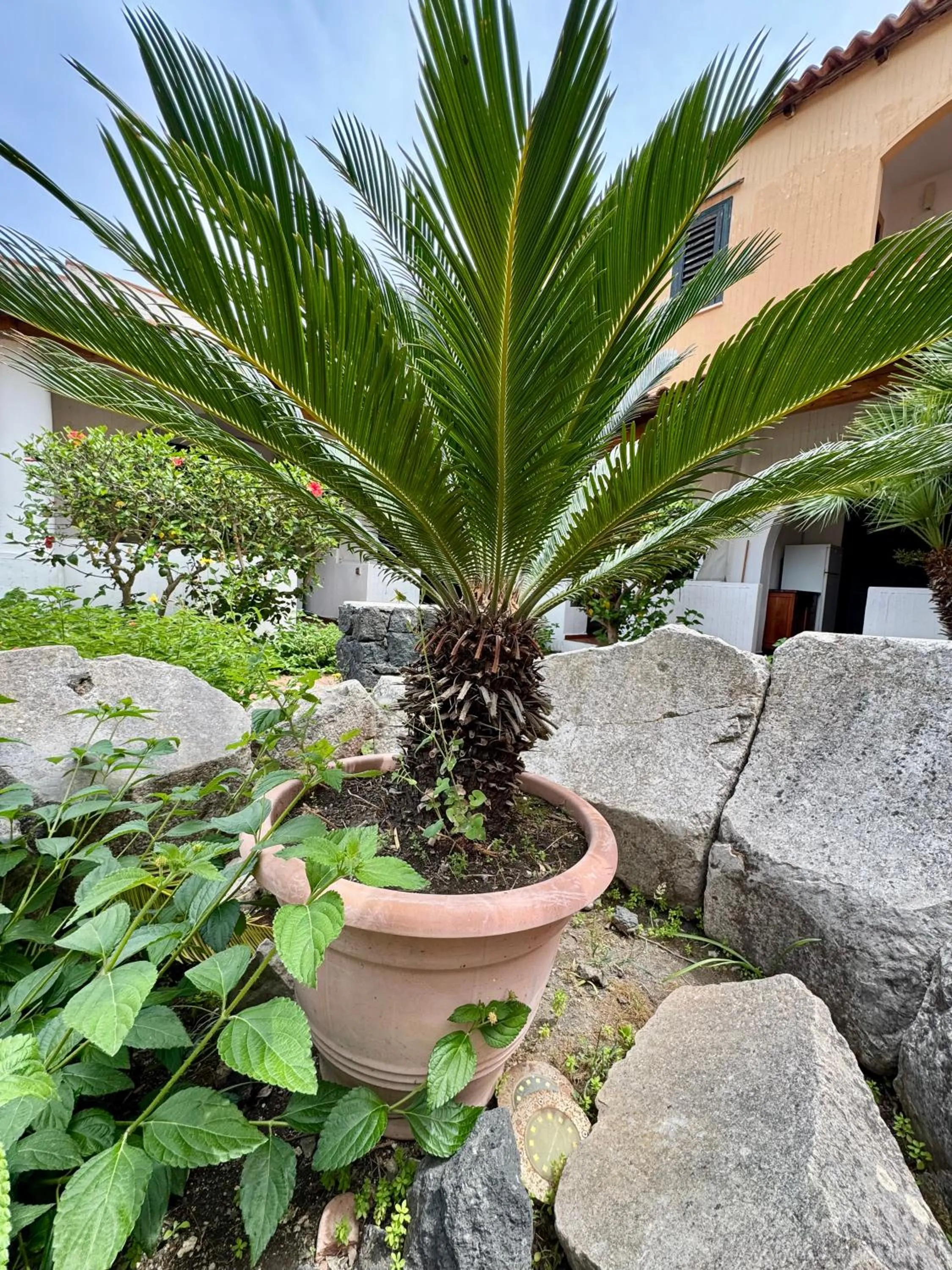 Property building in JERA Holiday Collection VULCANO UNO - Garden View