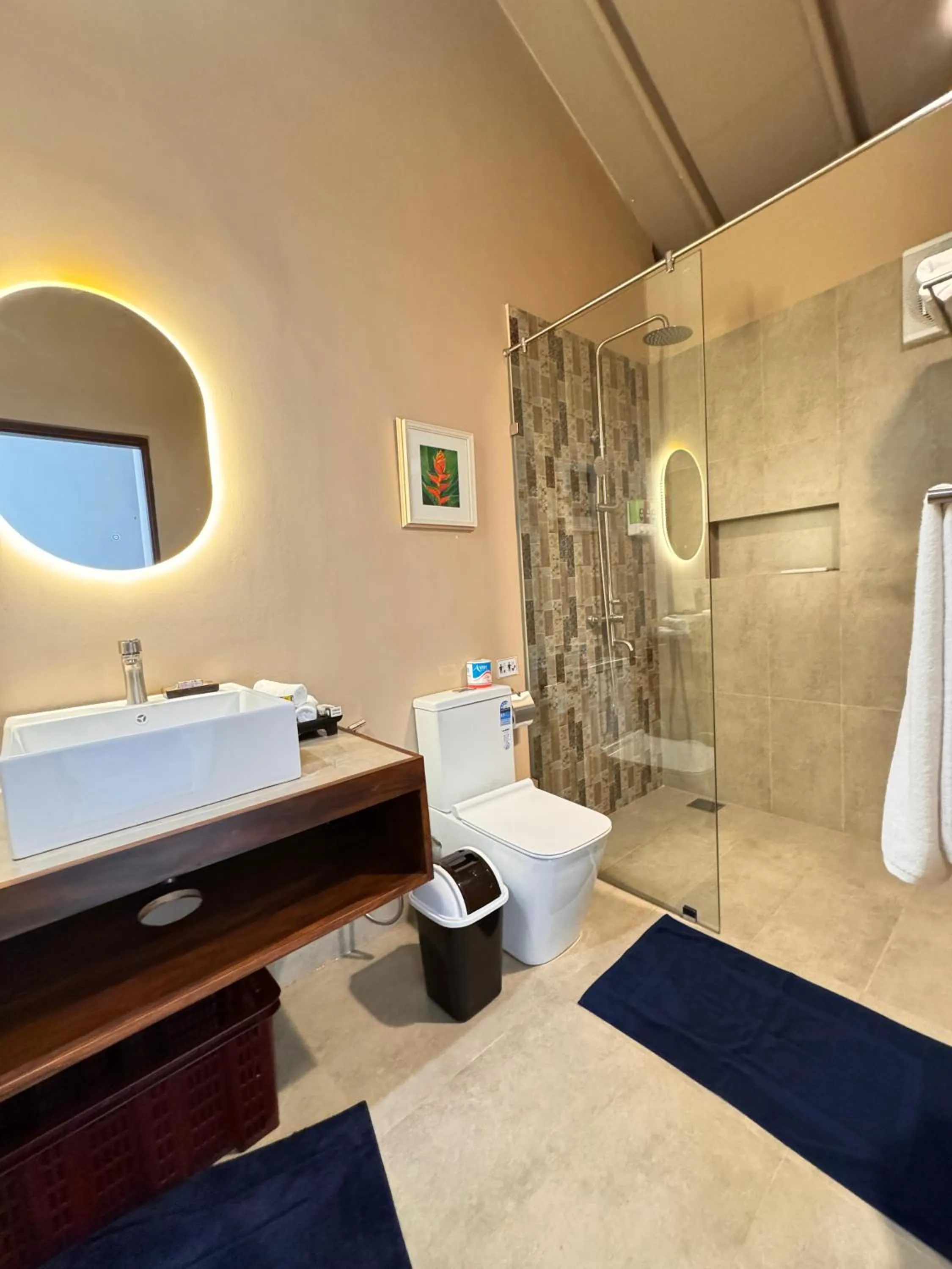 Bathroom in Soul Wellness and Ayurveda Resort-All Meals and Treatments Included