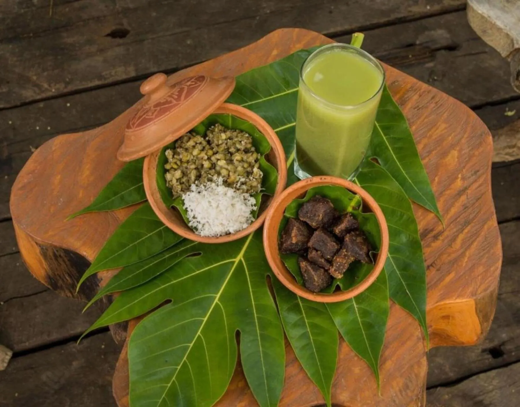 Food and drinks in Soul Wellness and Ayurveda Resort-All Meals and Treatments Included