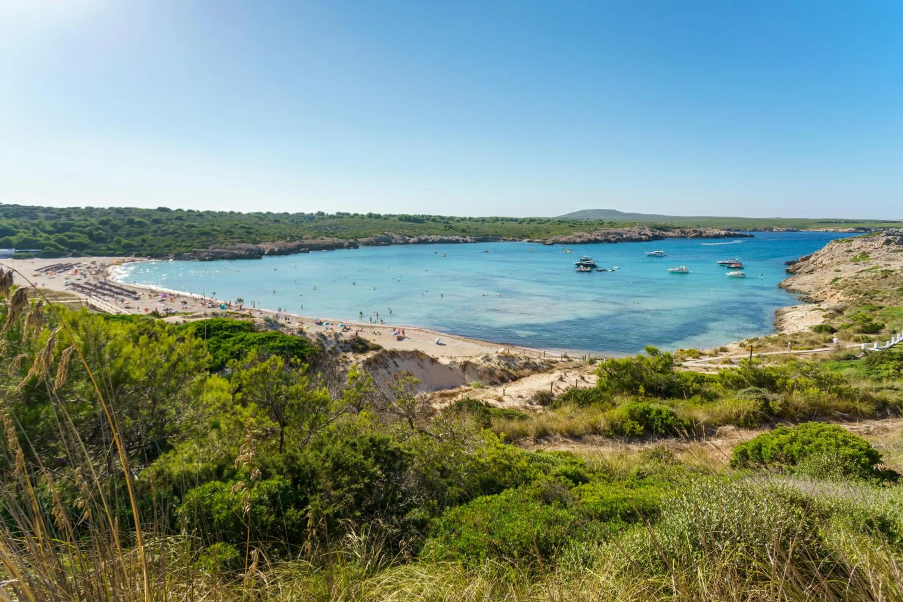 Beach in Apartamentos Posidonia