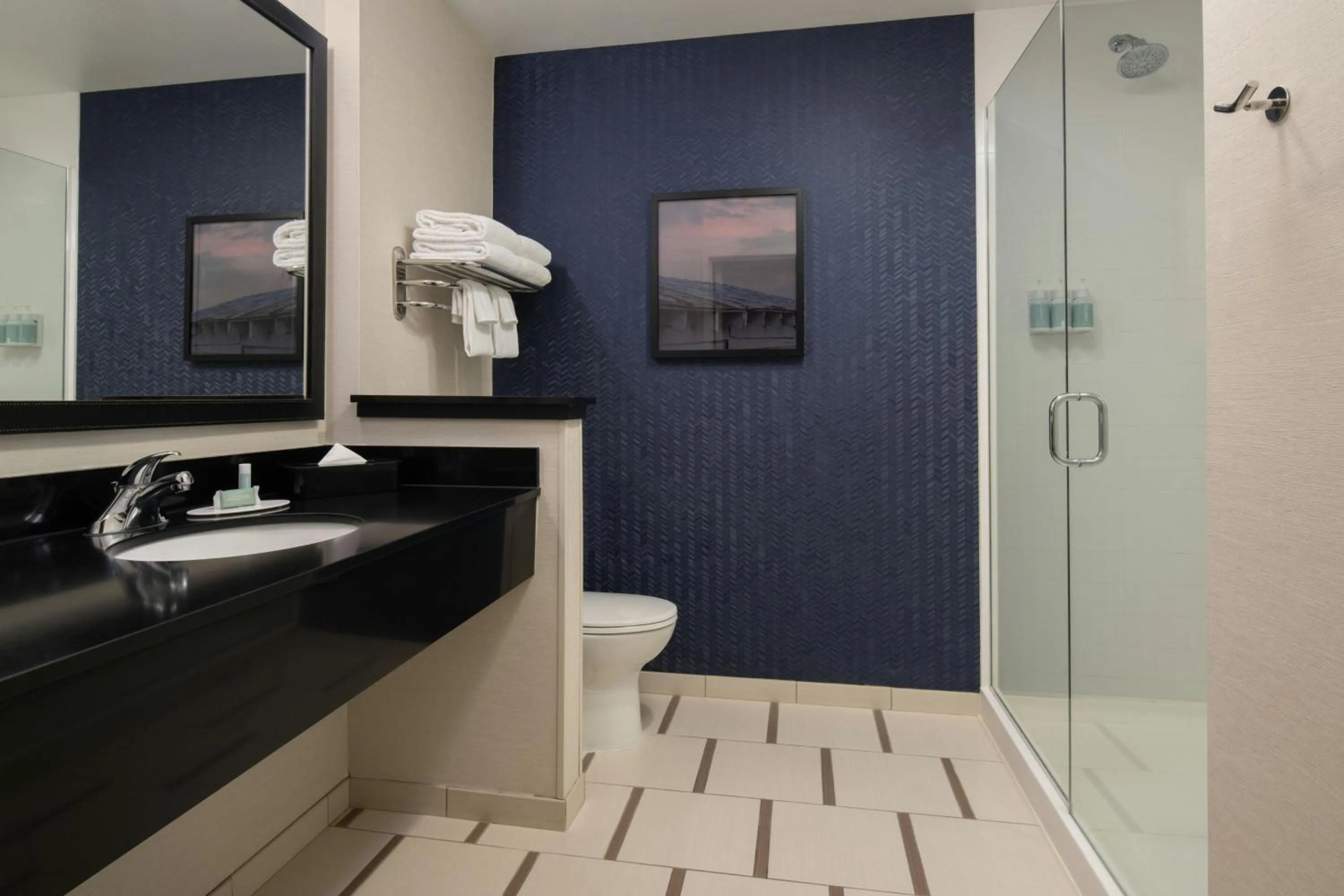 Bathroom in Fairfield Inn & Suites by Marriott Santa Cruz