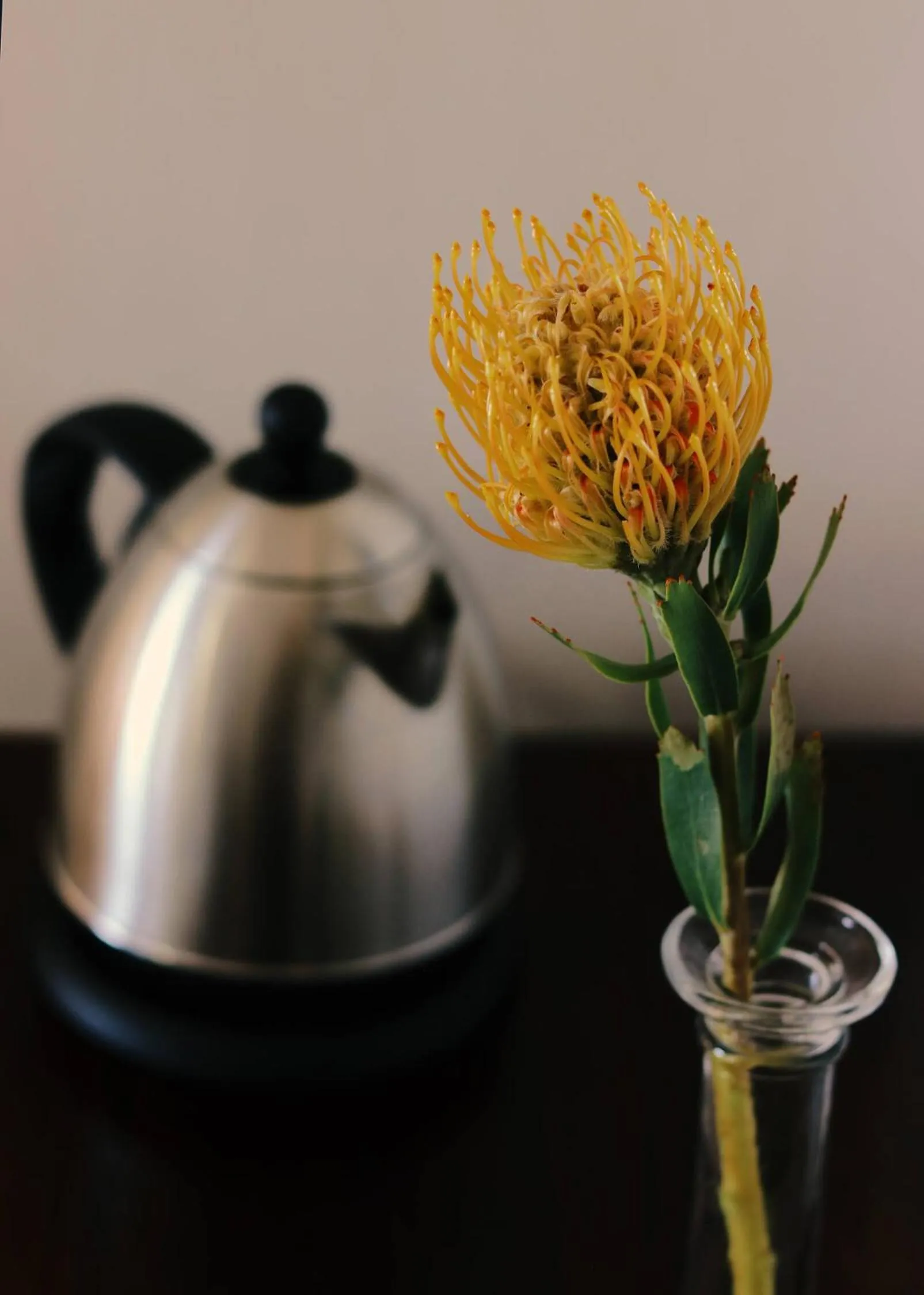 Sea Whisper Self Catering