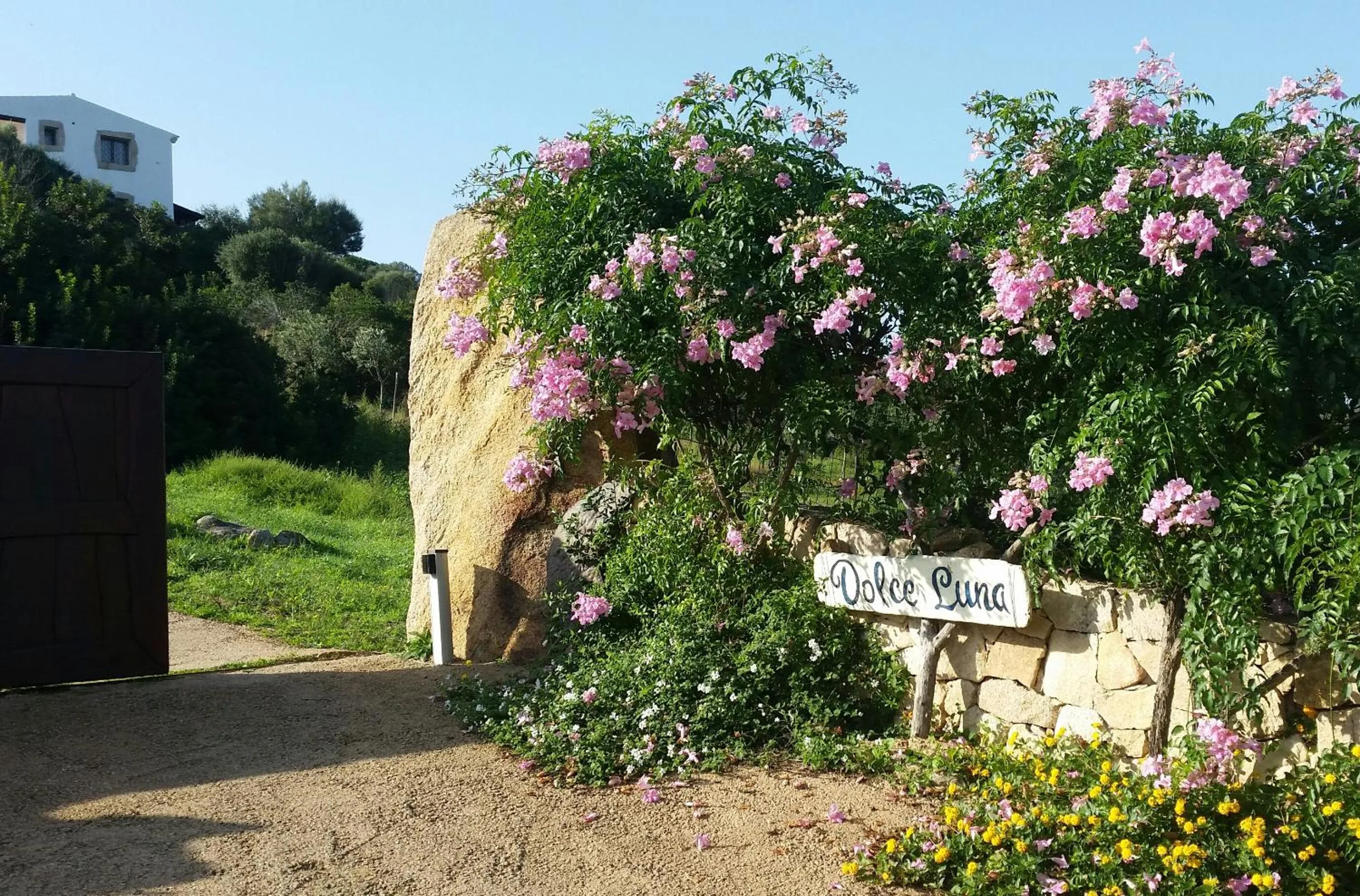 Property building in Dolce Luna