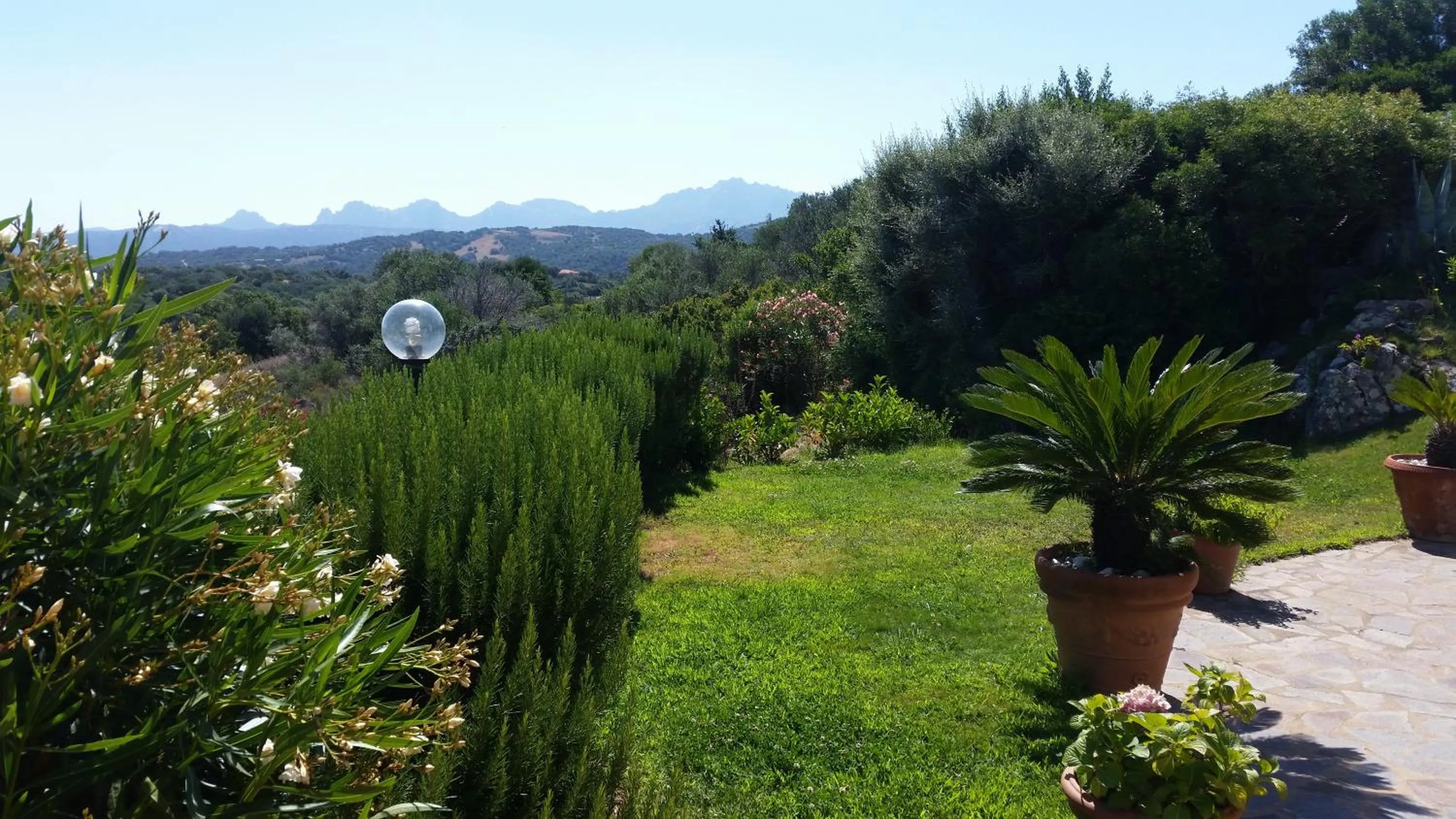 Property building in Dolce Luna