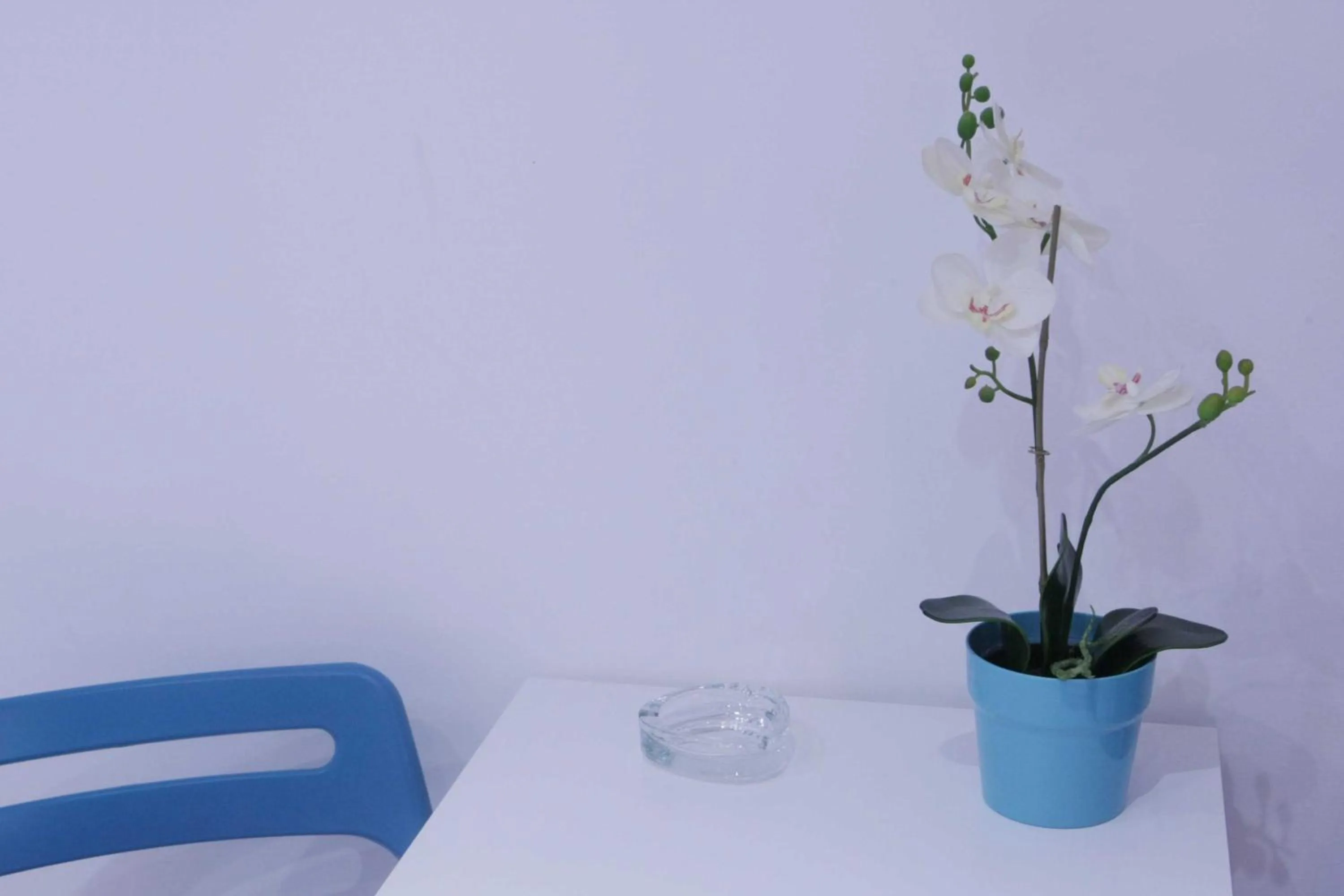 Decorative detail in Dei Meravigli