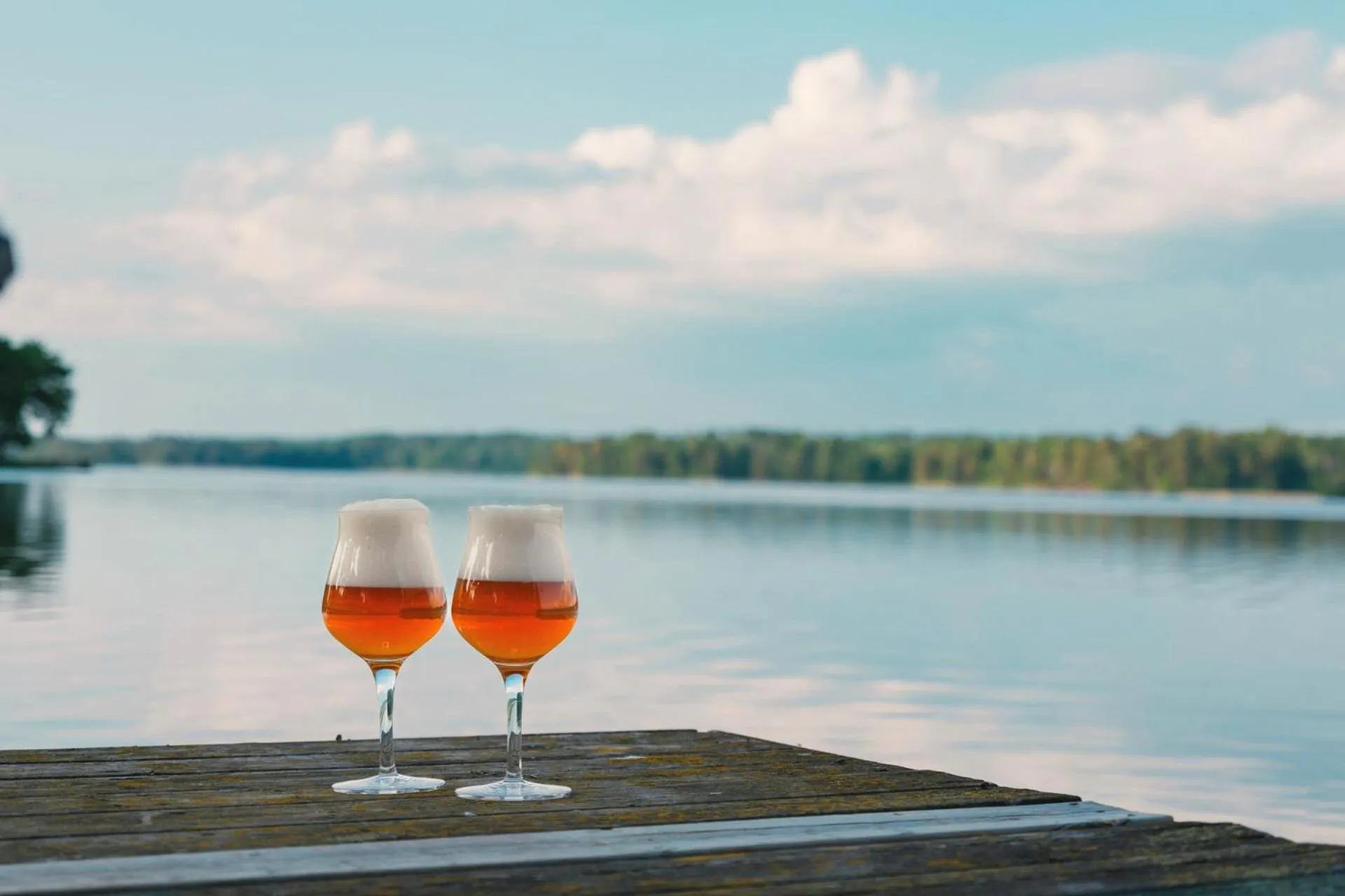 Lake view in Lejondals Slott