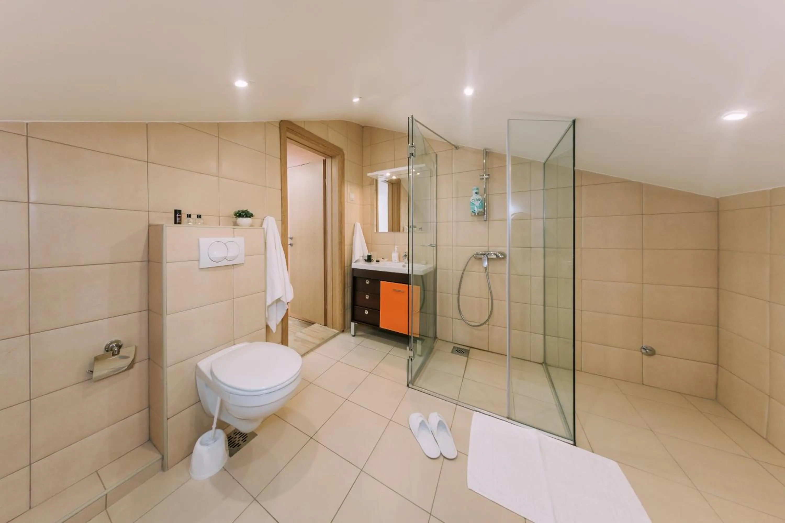 Shower in City Apartments