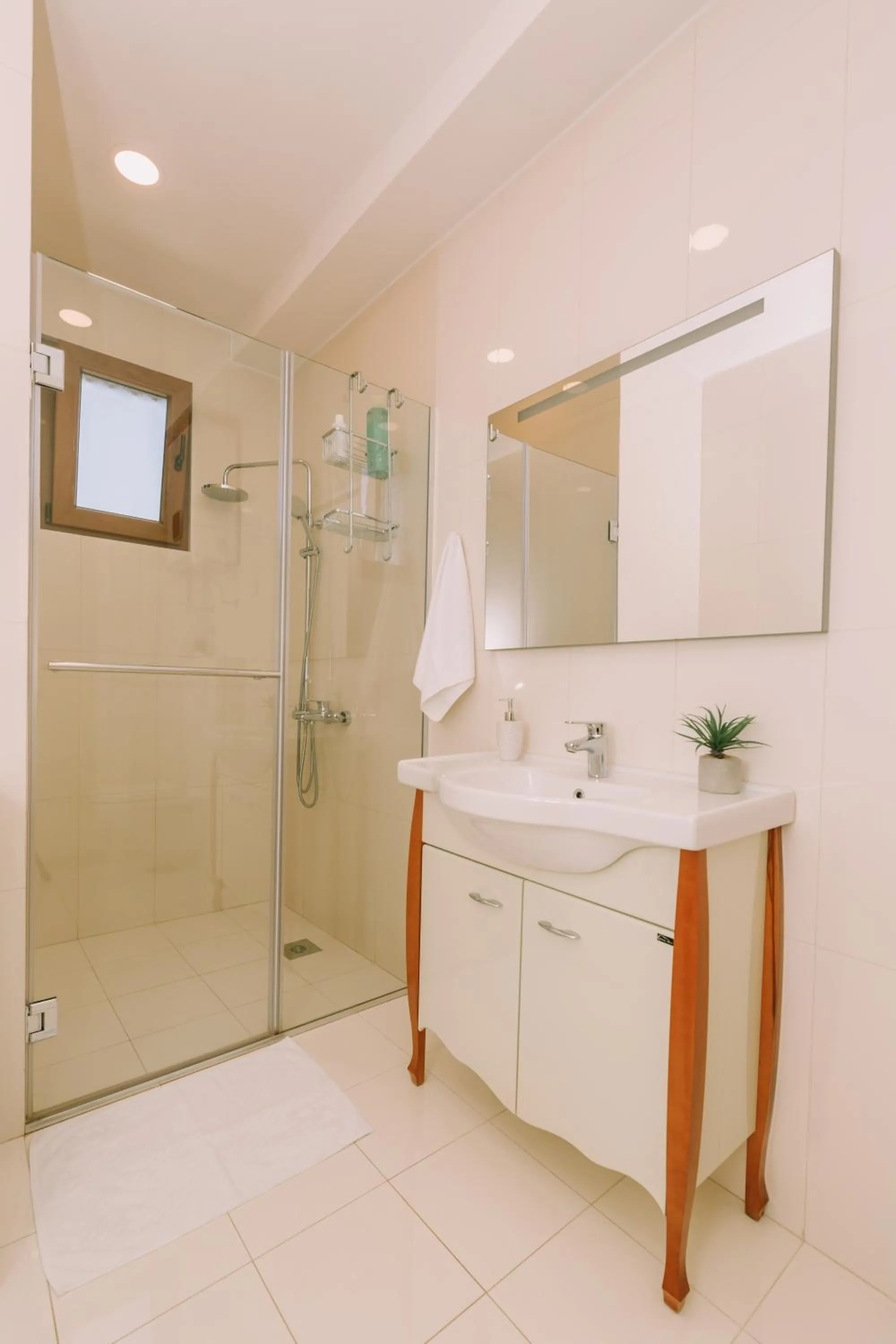 Shower in City Apartments