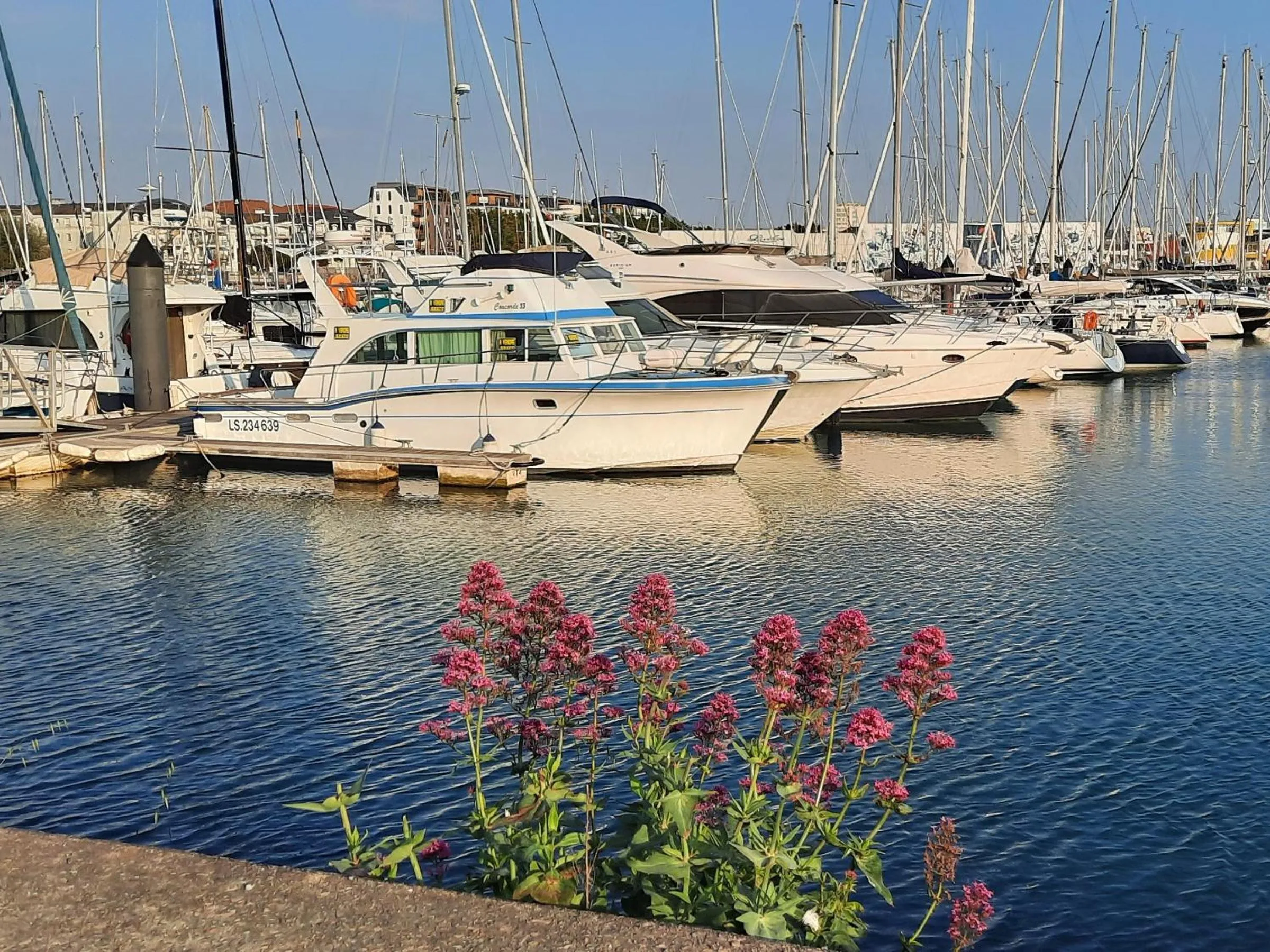 Nearby landmark in Appartement Vue Sur Mer