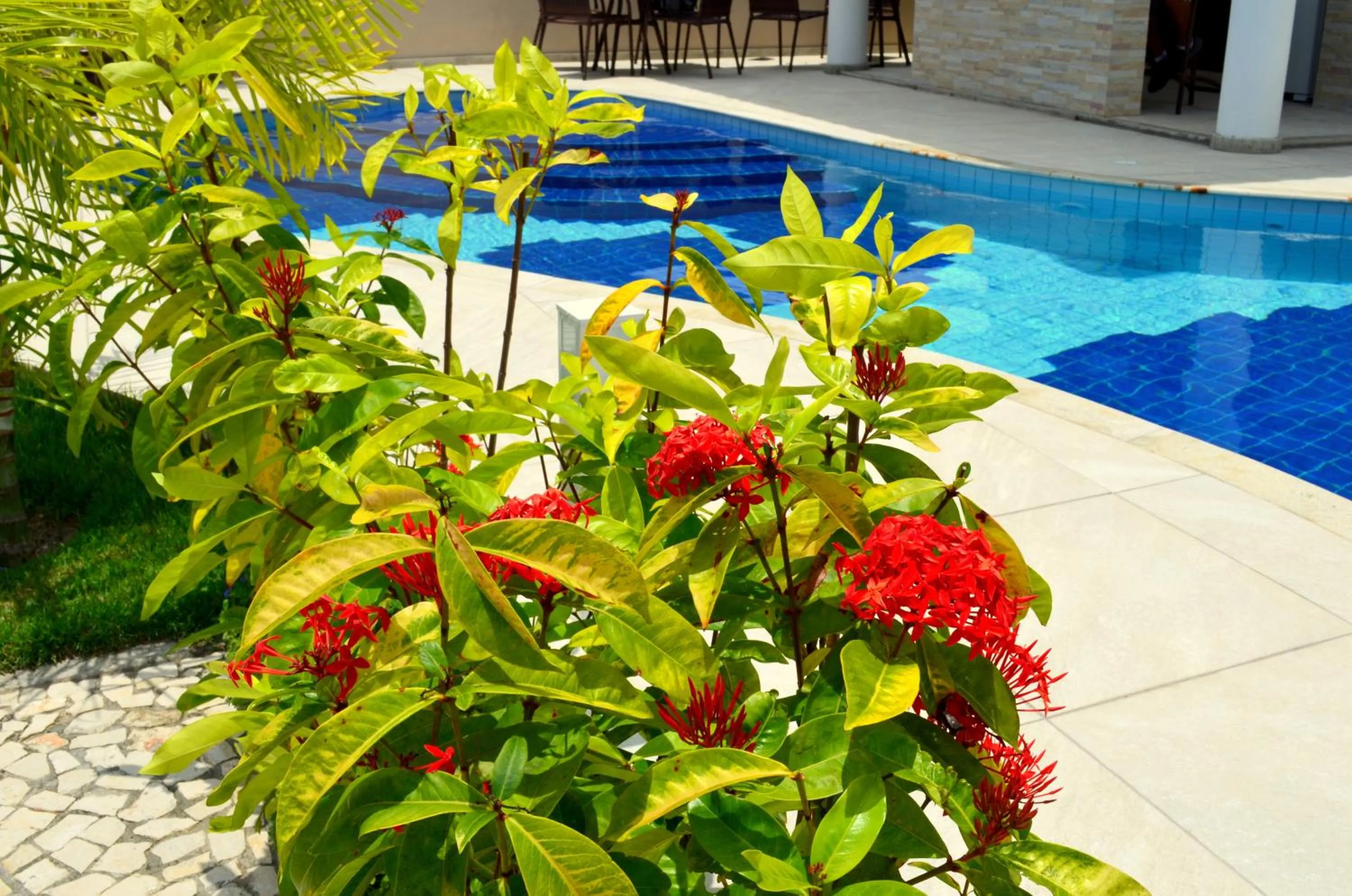 Garden in Residencial Portinari LTDA