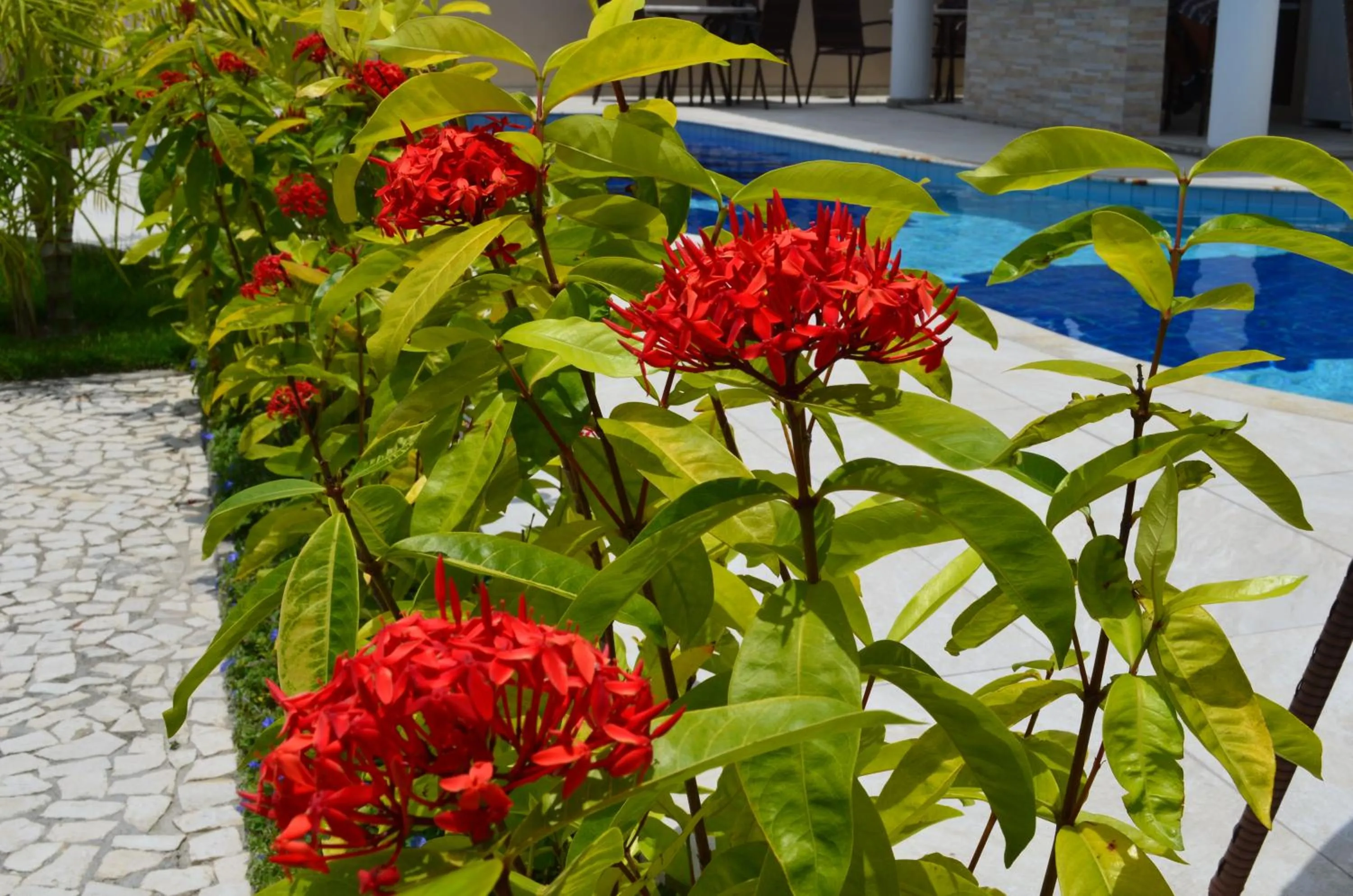 Garden in Residencial Portinari LTDA