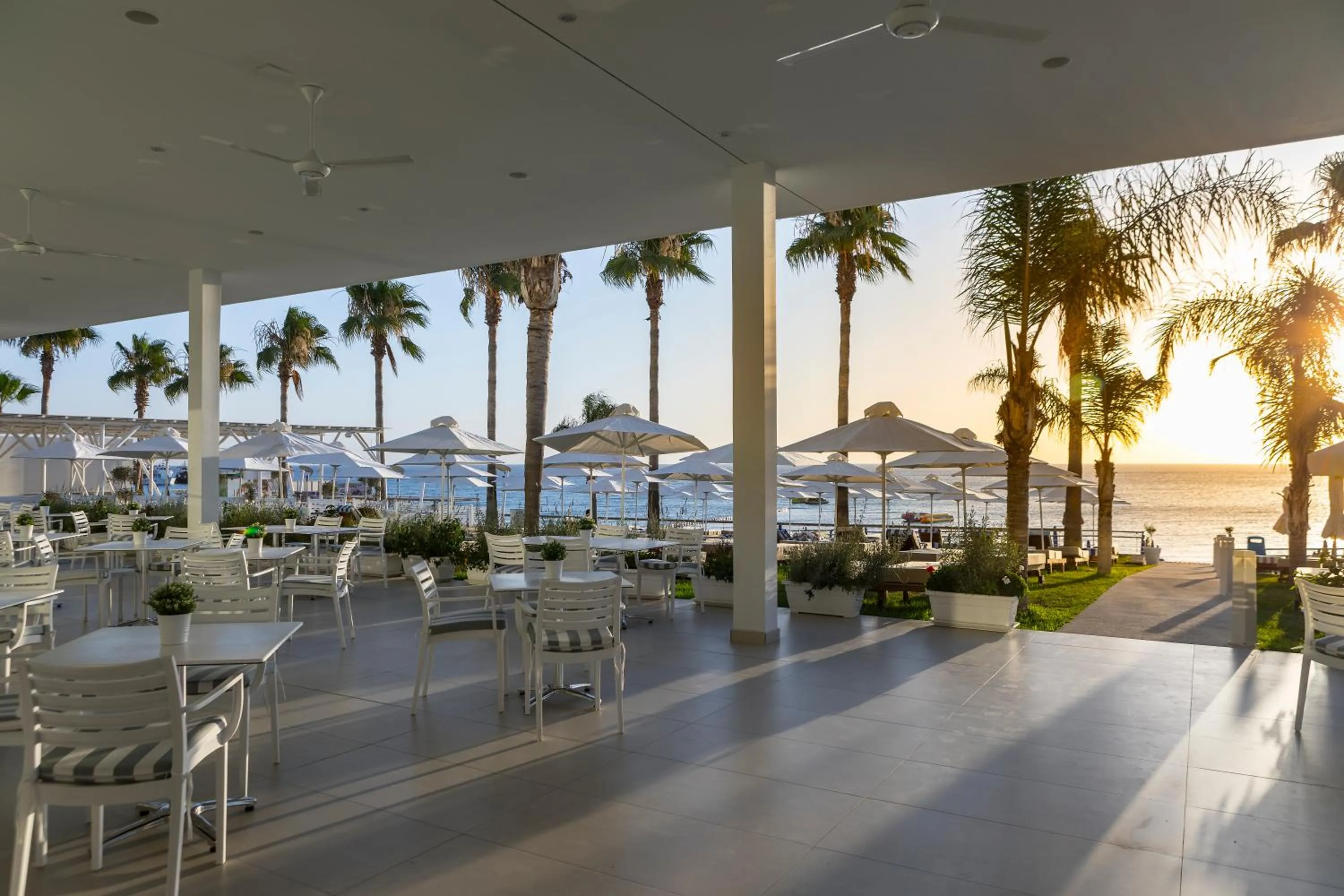 Restaurant/places to eat in Constantinos the Great Beach Hotel