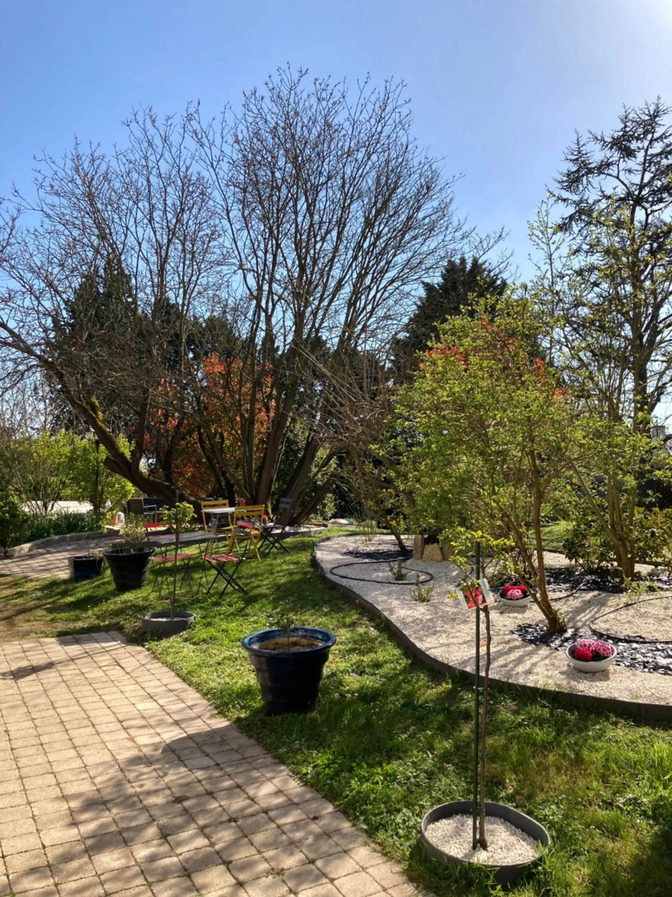 Garden view in Le Chai De La Rose SPA et Séances Bien être