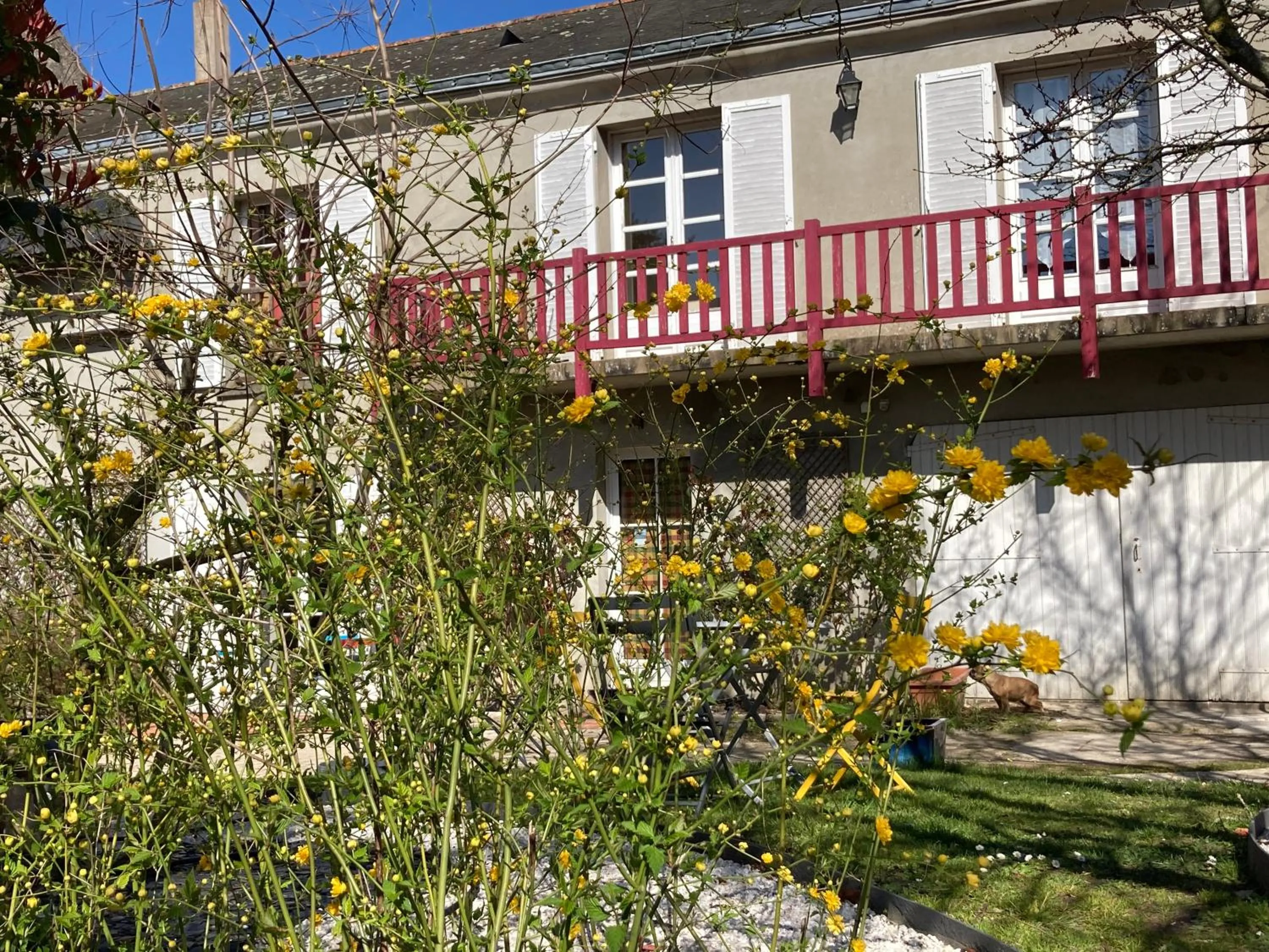 Garden view in Le Chai De La Rose SPA et Séances Bien être