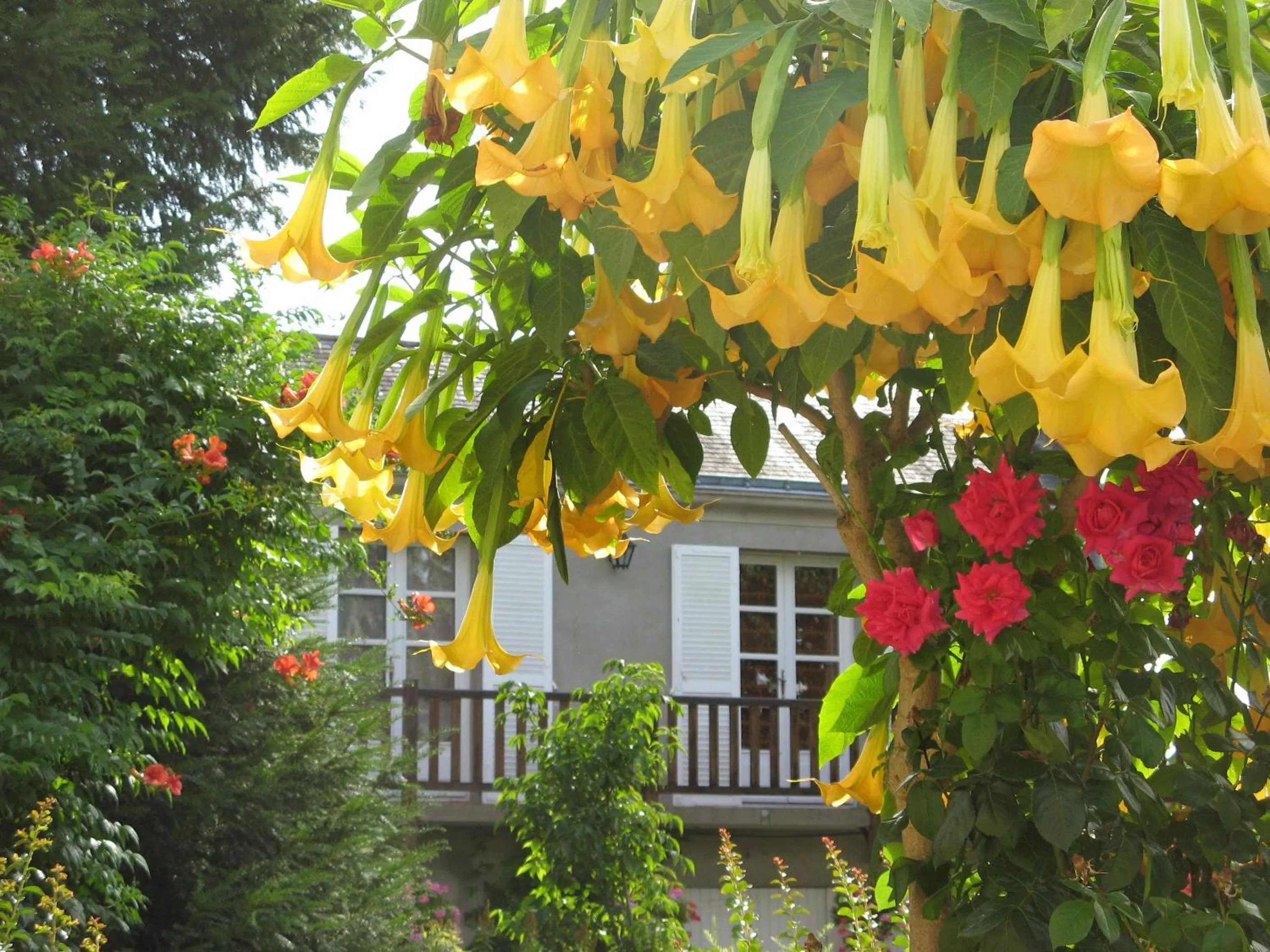 Property building in Le Chai De La Rose SPA et Séances Bien être