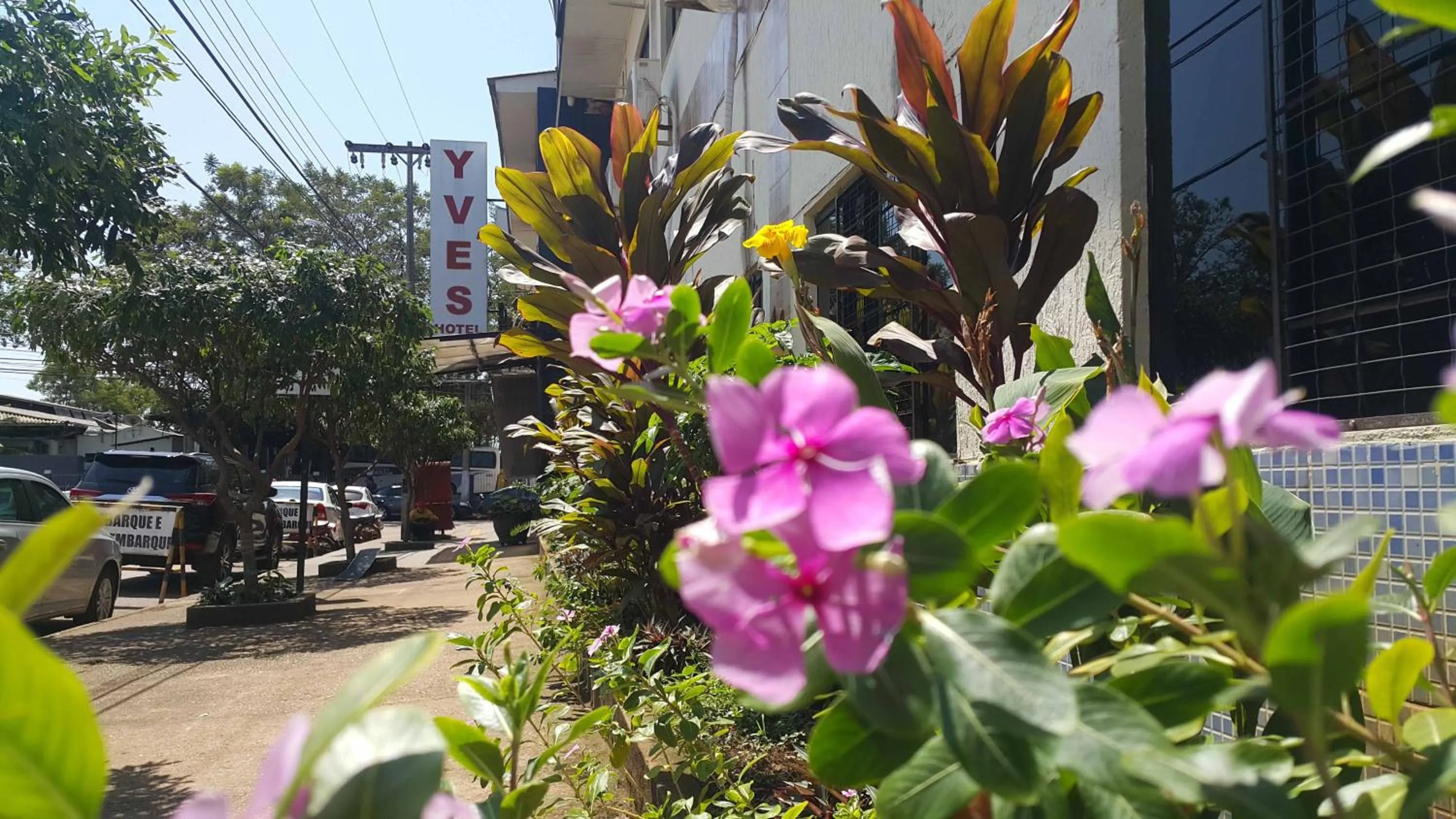 Garden in Yves Hotel