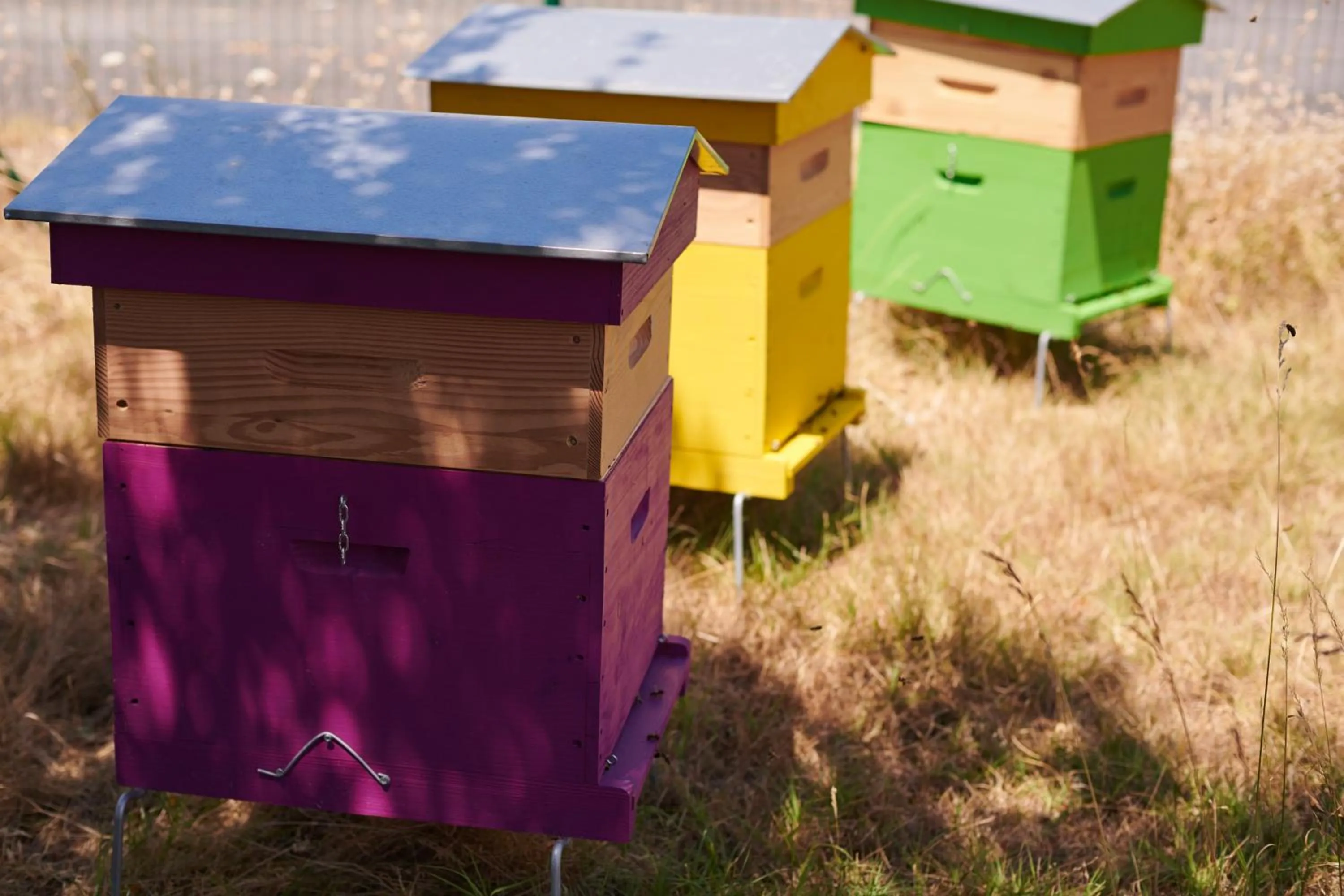 Garden in Greet Hôtel Saint-Nazaire Trignac Nouvelle Marque du Groupe Accor