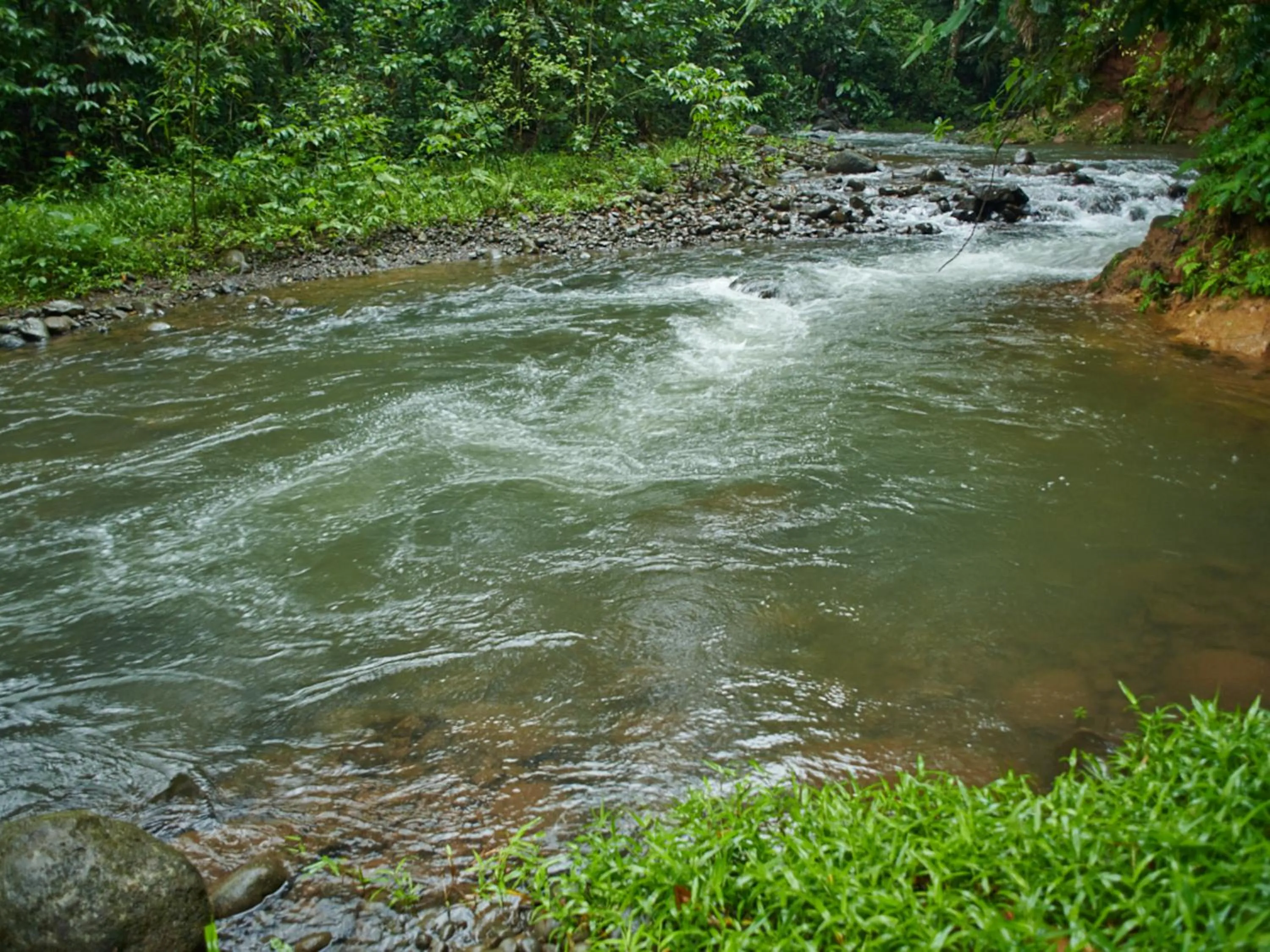 Natural landscape in Santa Maria Volcano Lodge Hotel & Restaurante