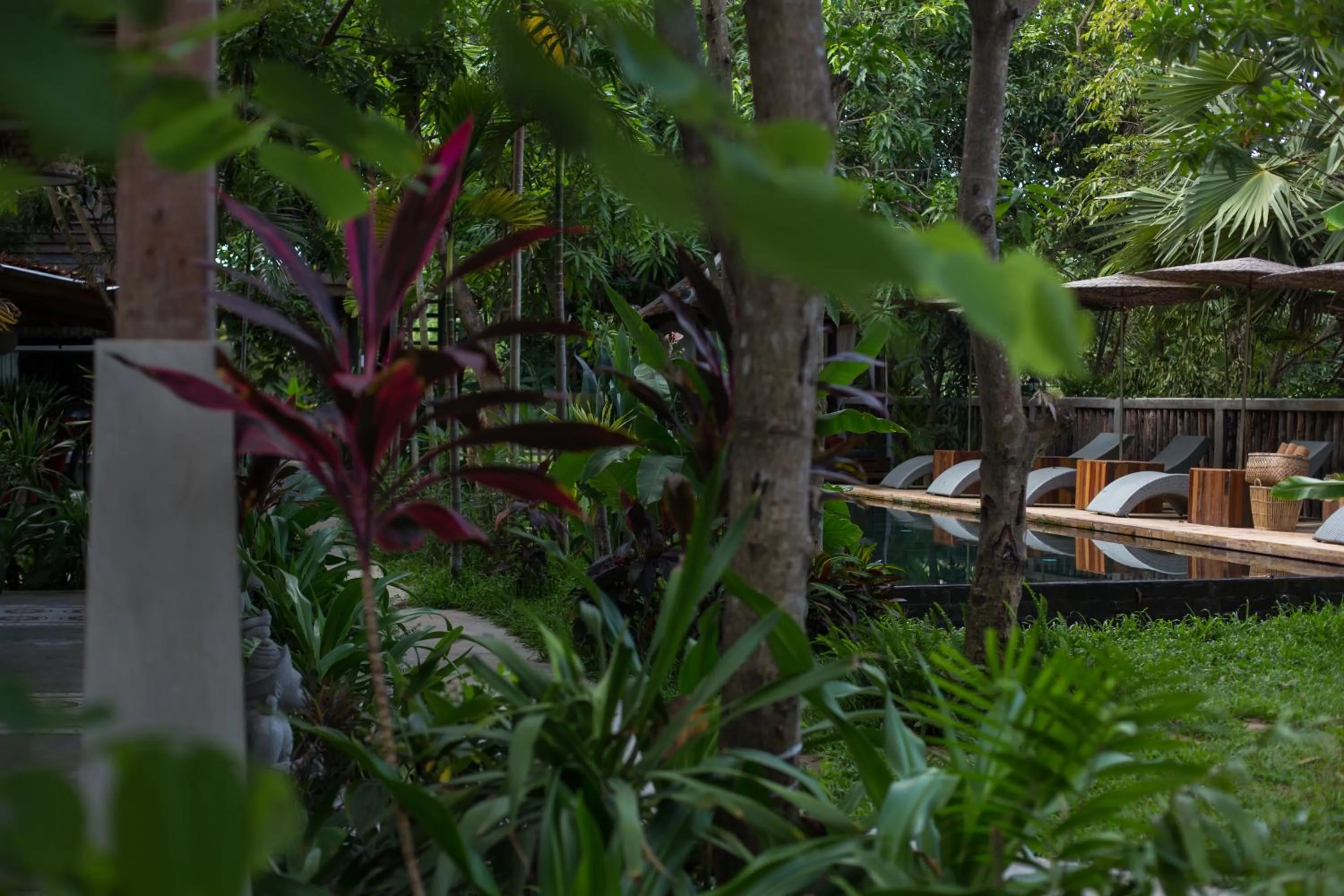 Pool view in Isann Lodge