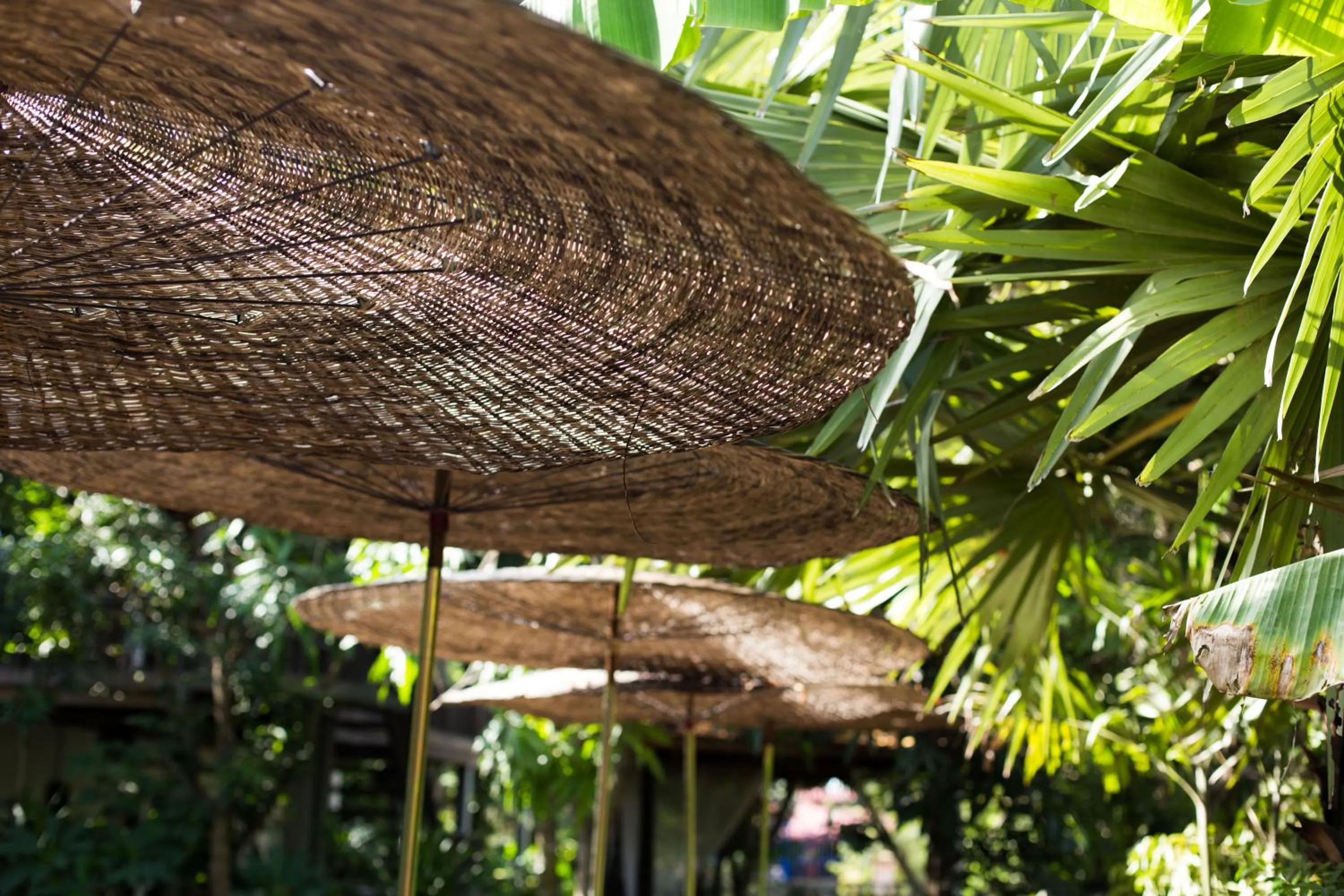 Pool view in Isann Lodge