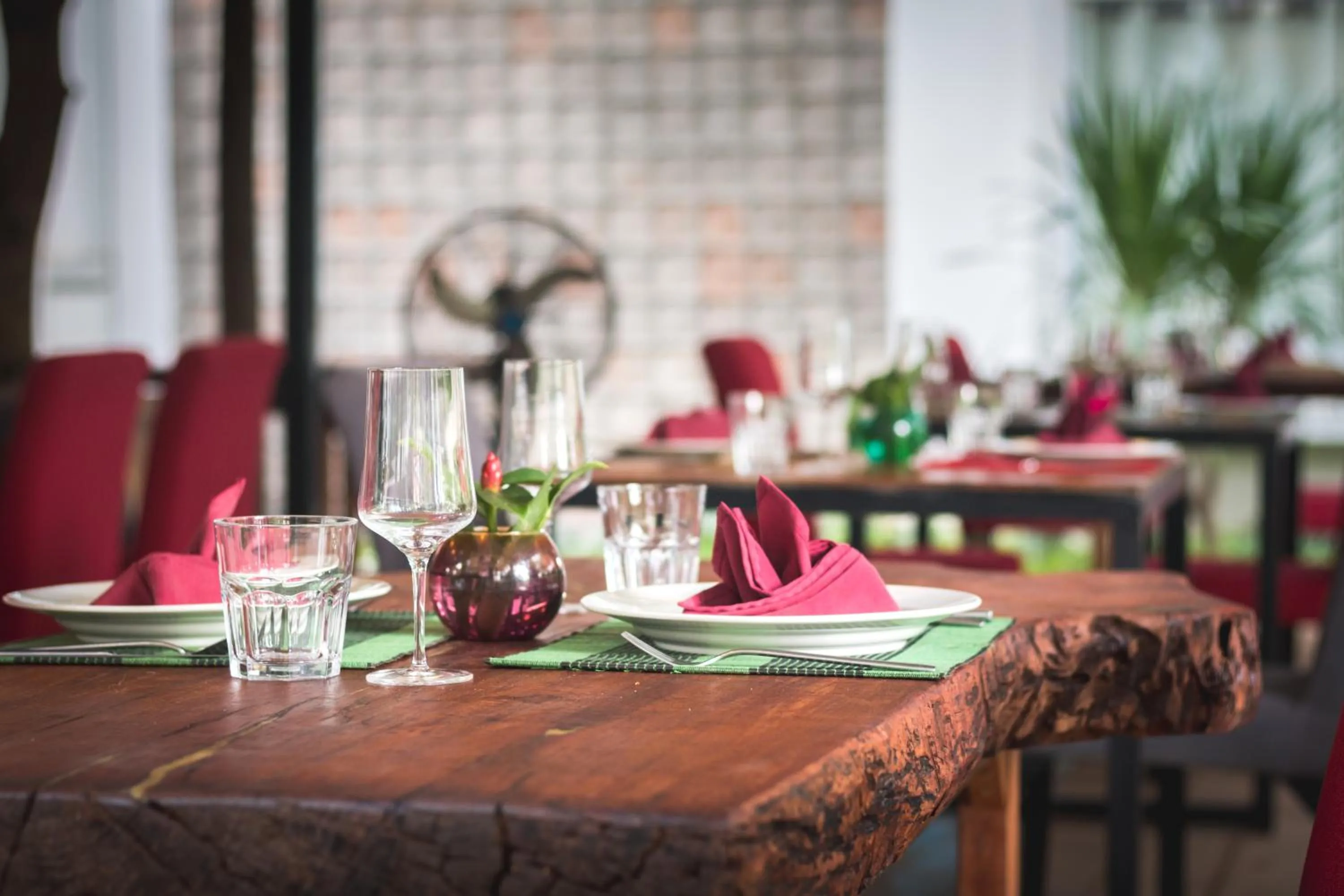 Garden in Isann Lodge