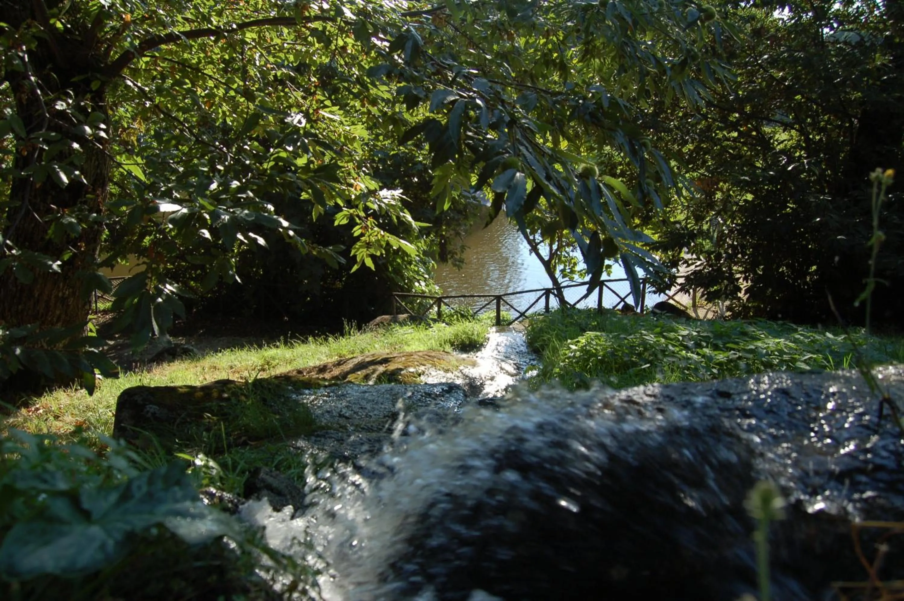 Garden in Balletti Park Hotel