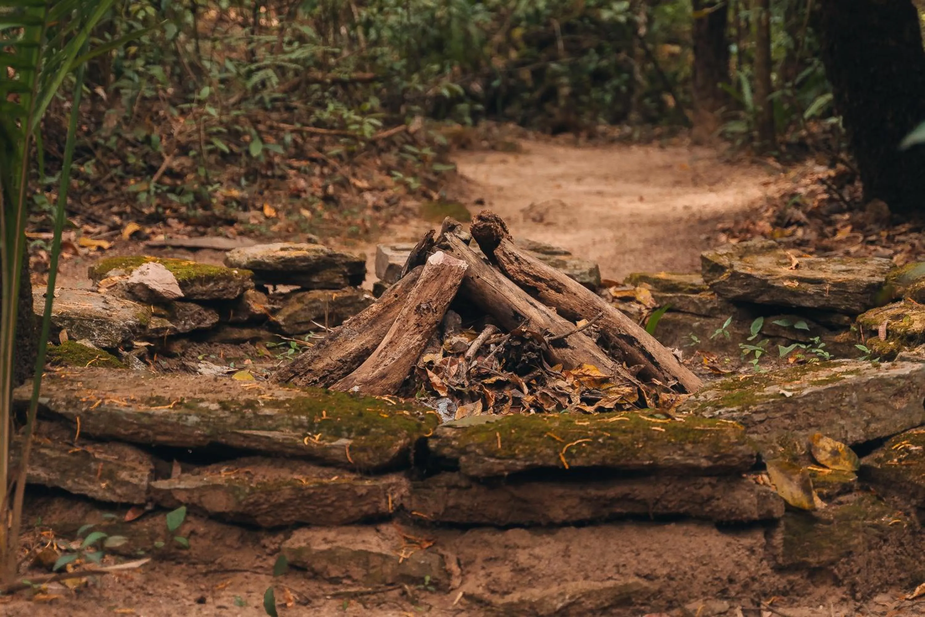 Hostel Chápada Dos Veadeiros