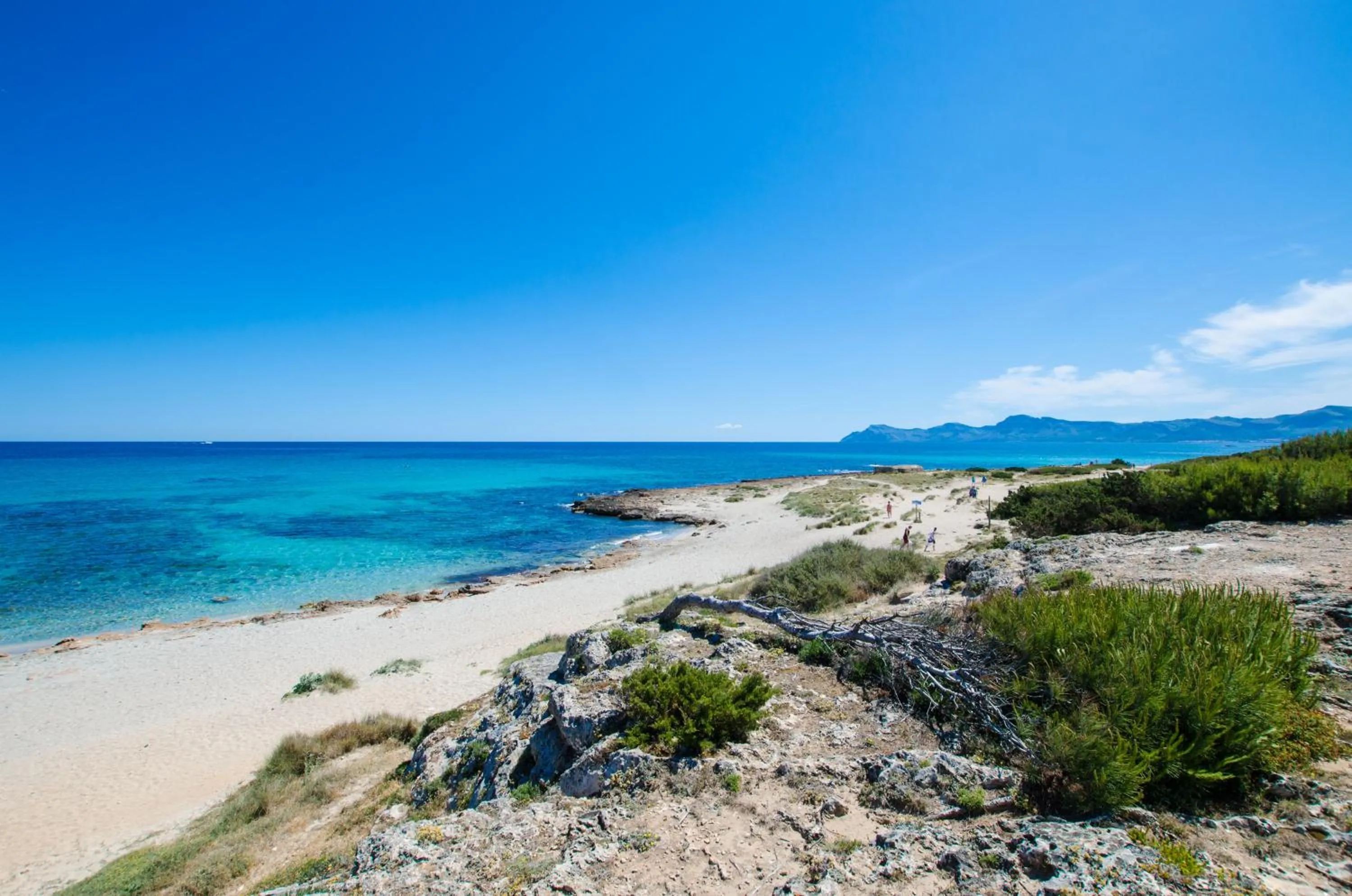 Beach in Mar Brava Apartments