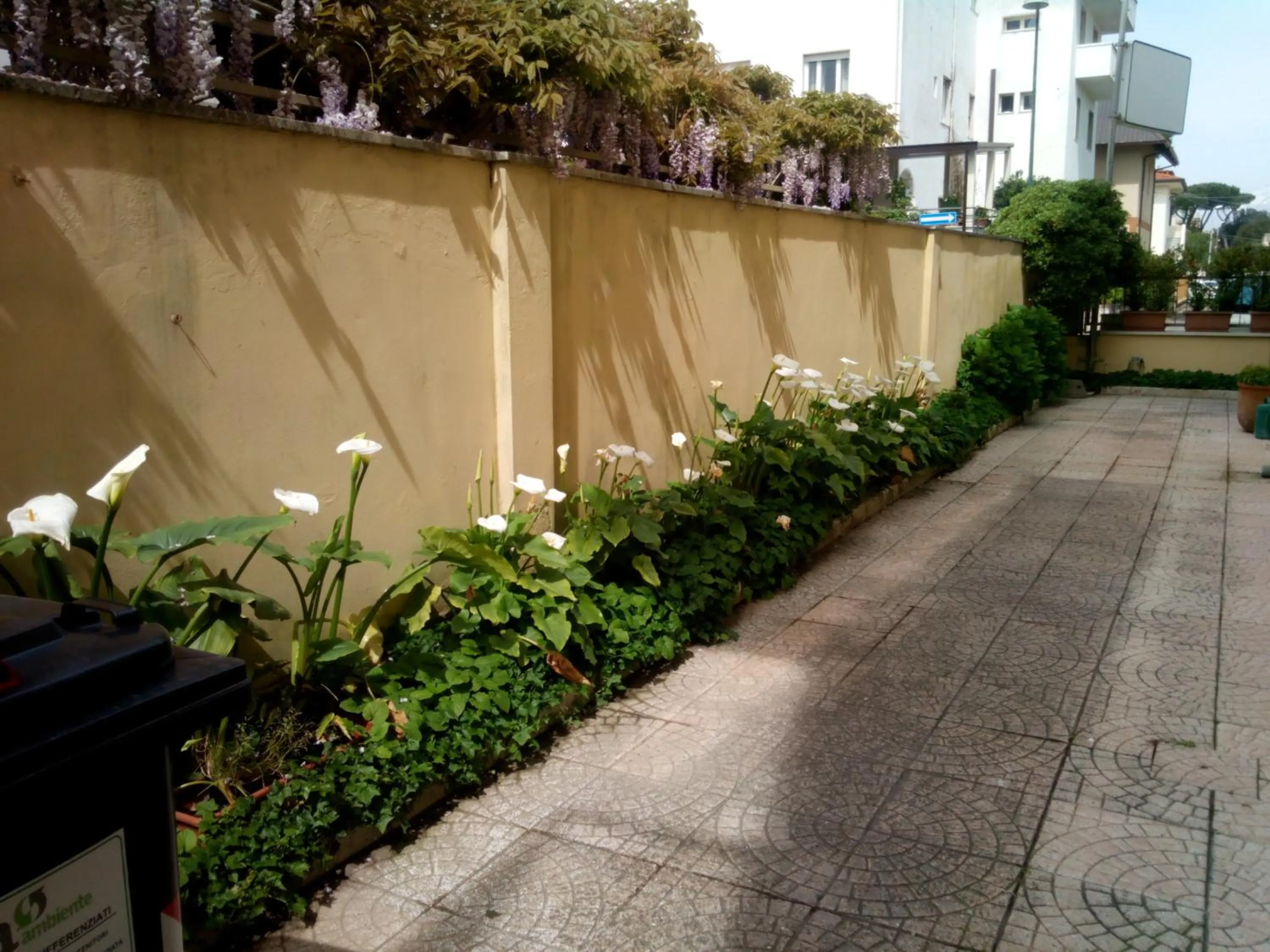 Area and facilities in Hotel Margot