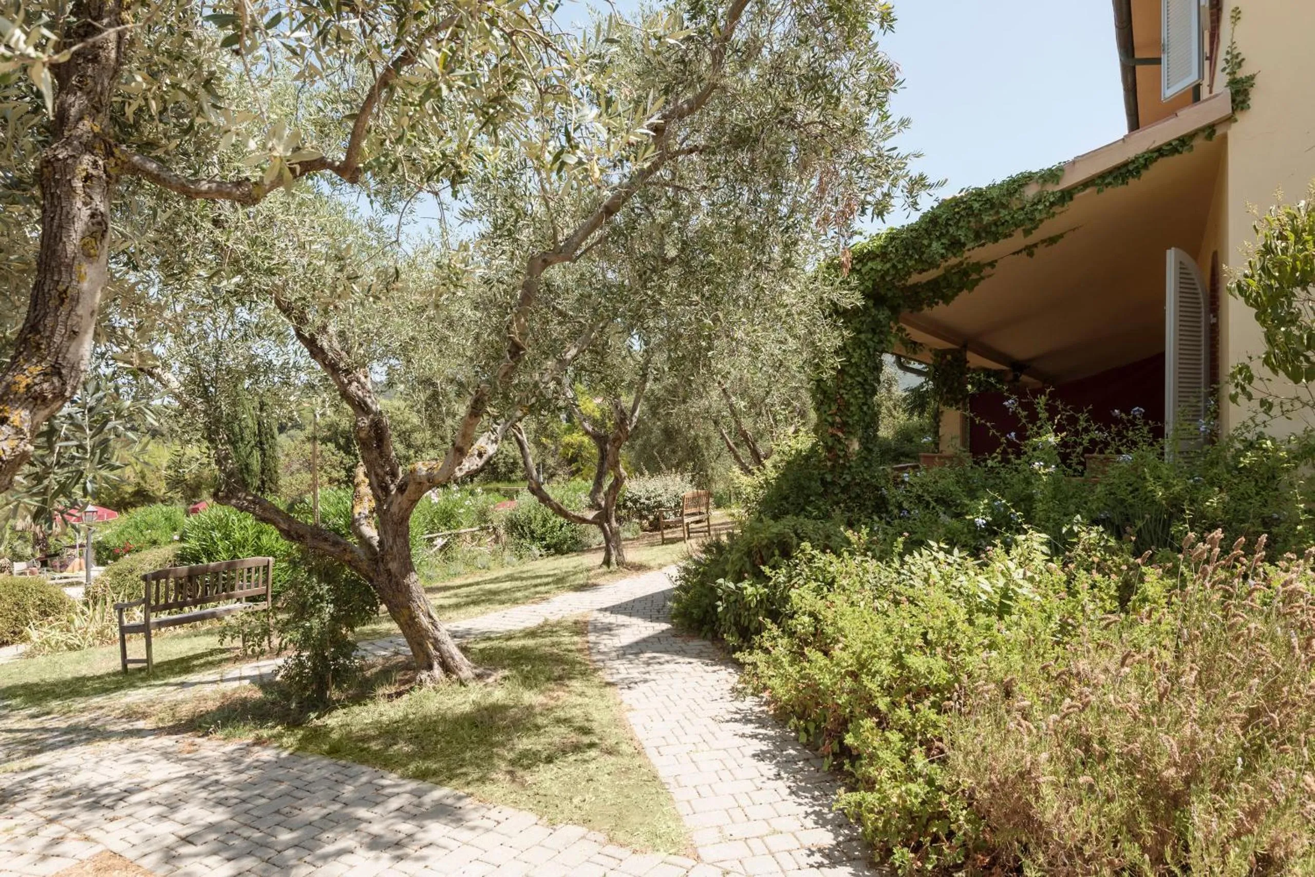 Spring in La Muccheria