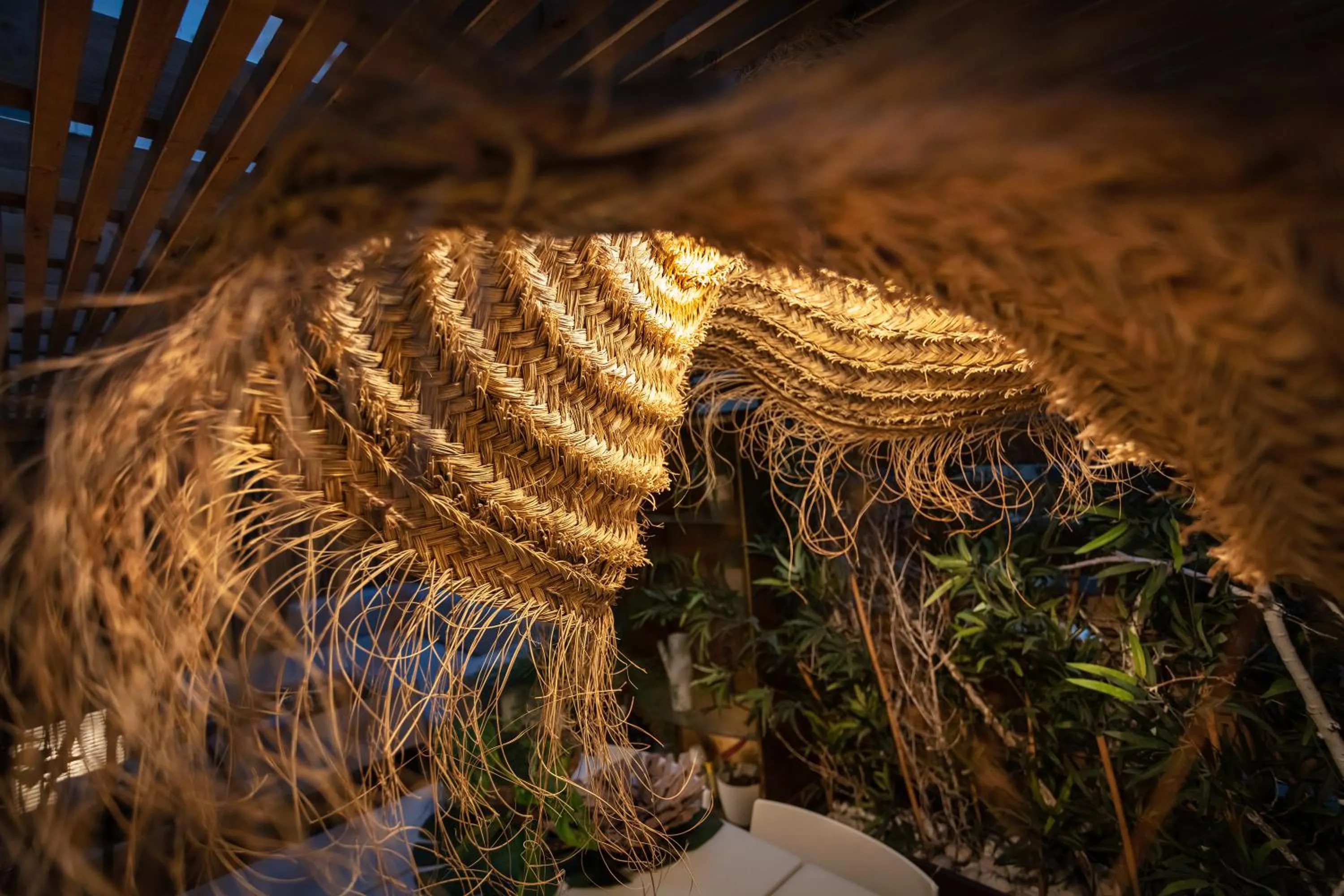 Other in Zrooms&Suites Hostel Boutique