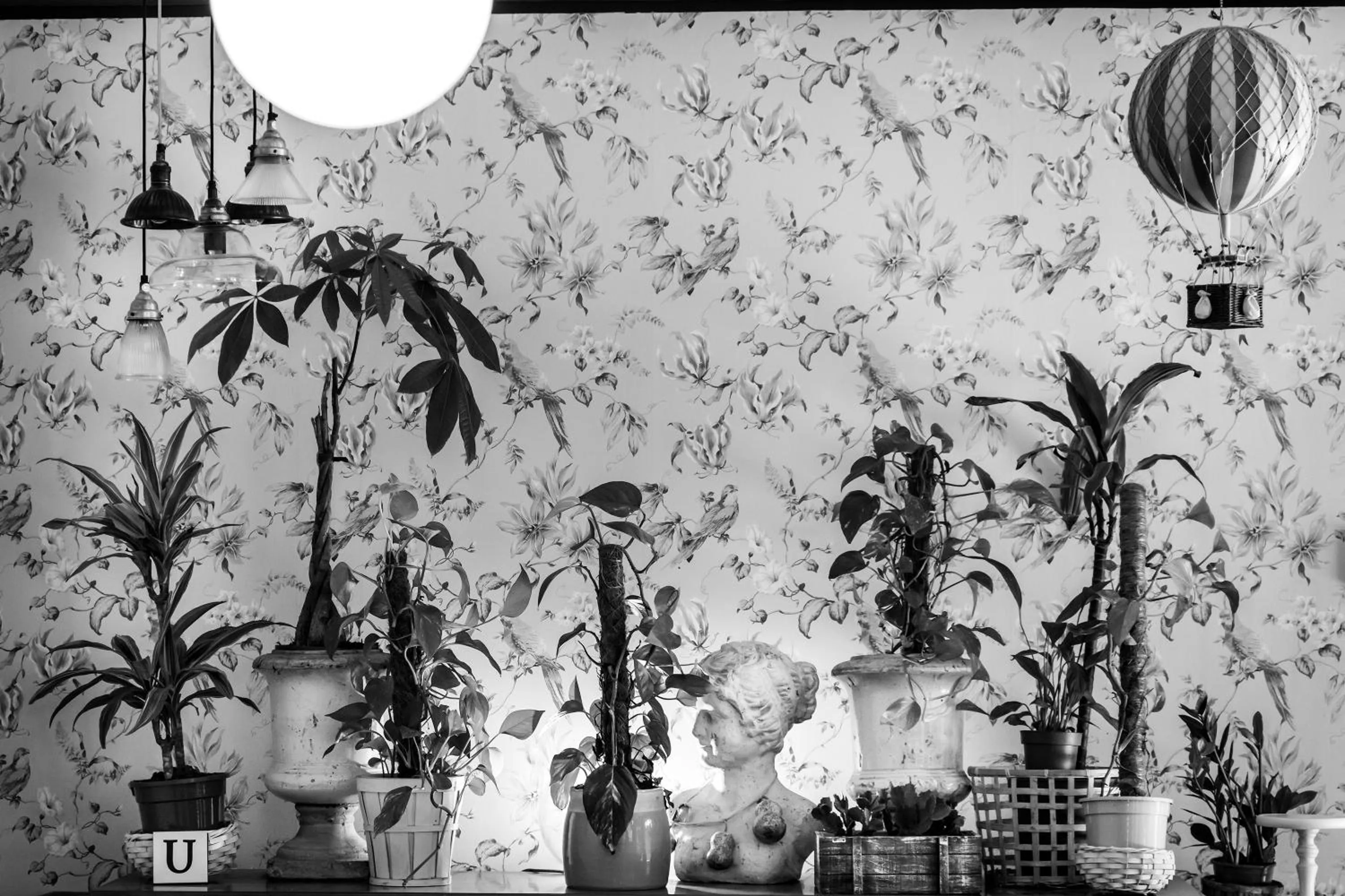 Balcony/Terrace in Zrooms&Suites Hostel Boutique