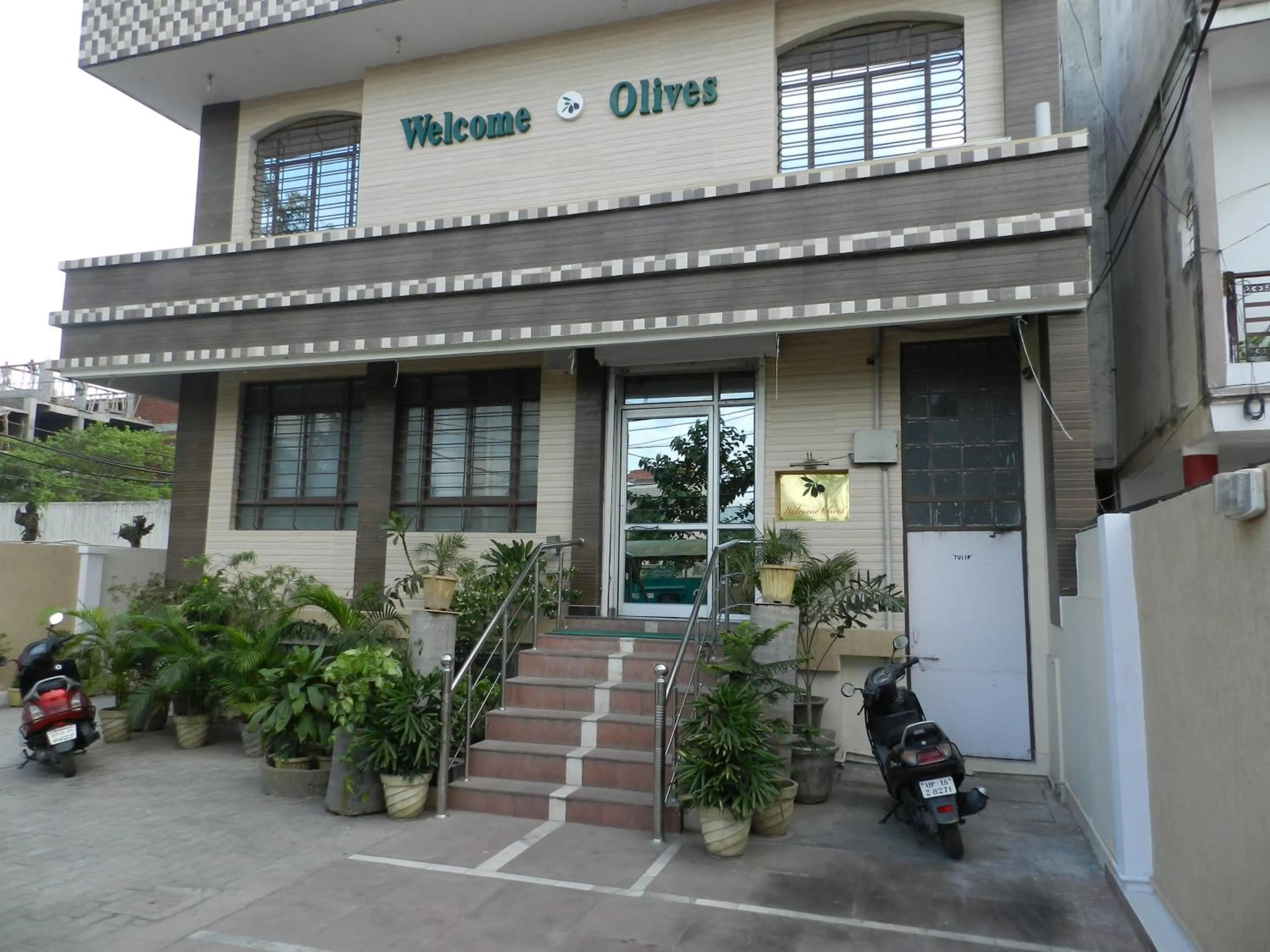 Other in Welcome Olives