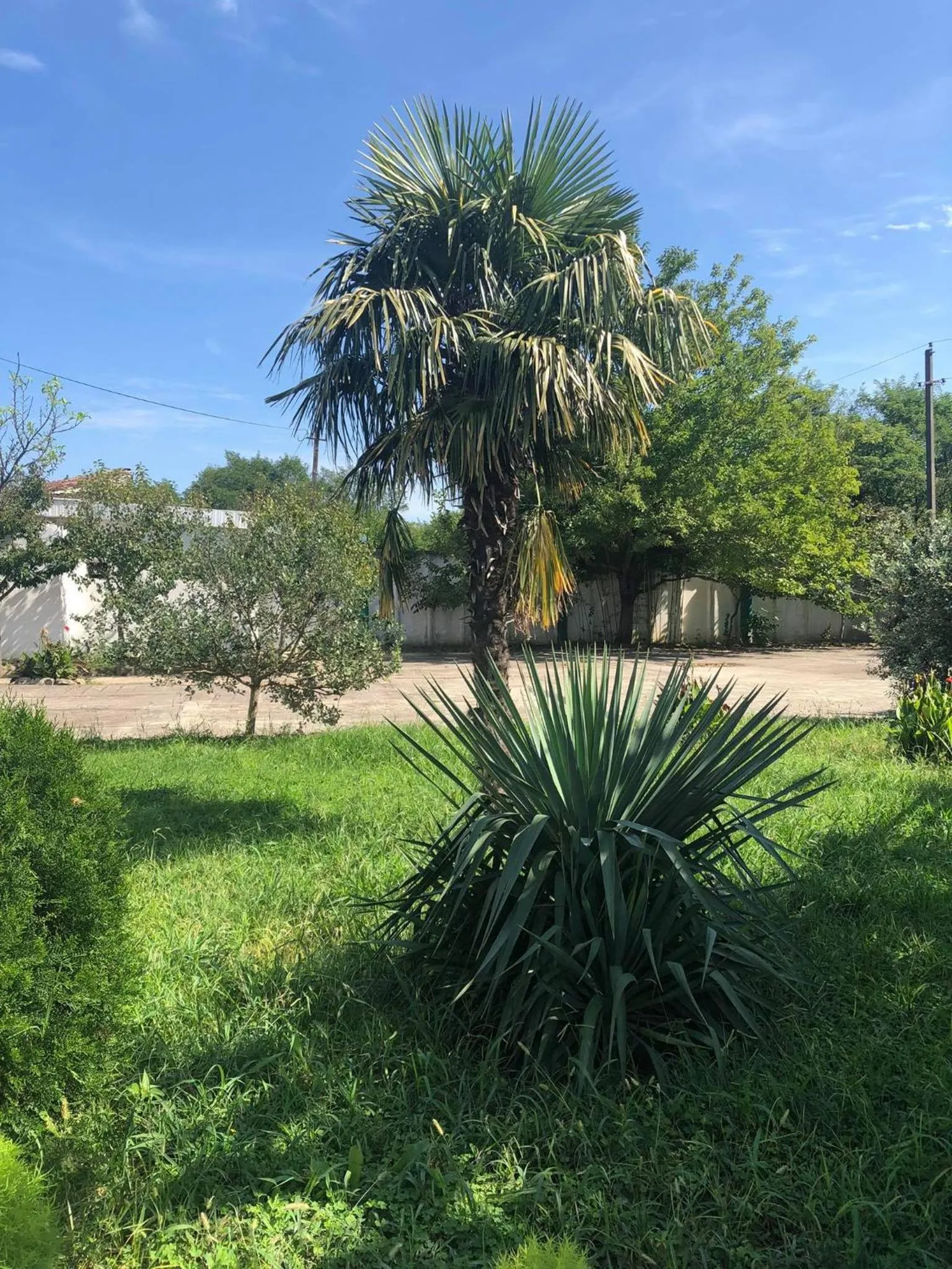 Property building in Europa Hotel-Kutaisi