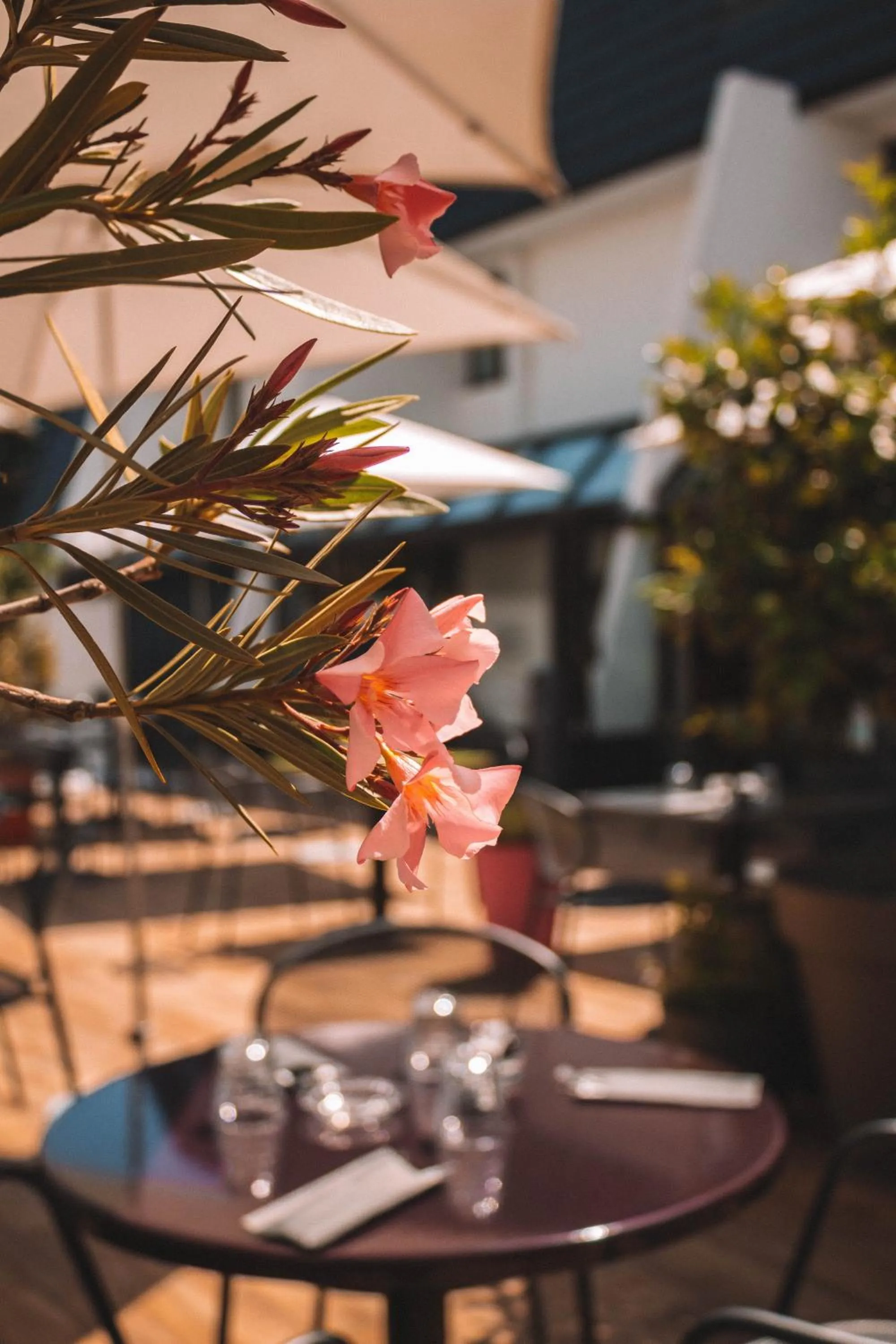 Patio in Ibis Styles Toulouse Labège