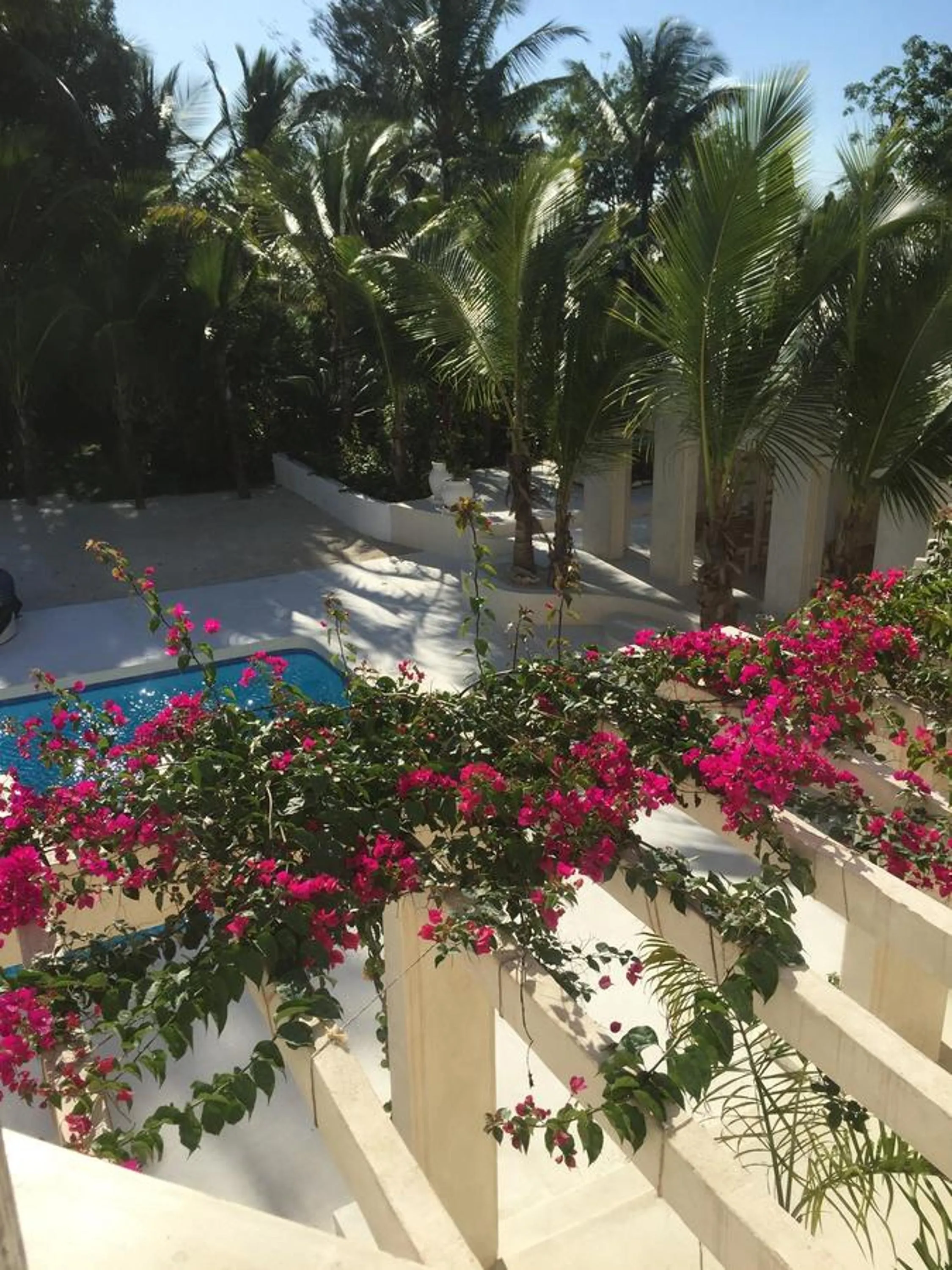 Garden in The Villa Luxury Suites Hotel