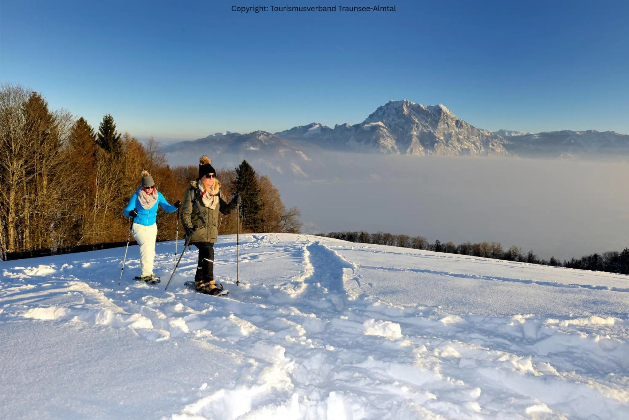 Ski School in Apartmenthotel 's Mitterndorf