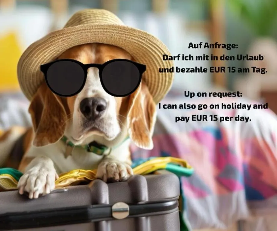 Pets in Apartmenthotel 's Mitterndorf