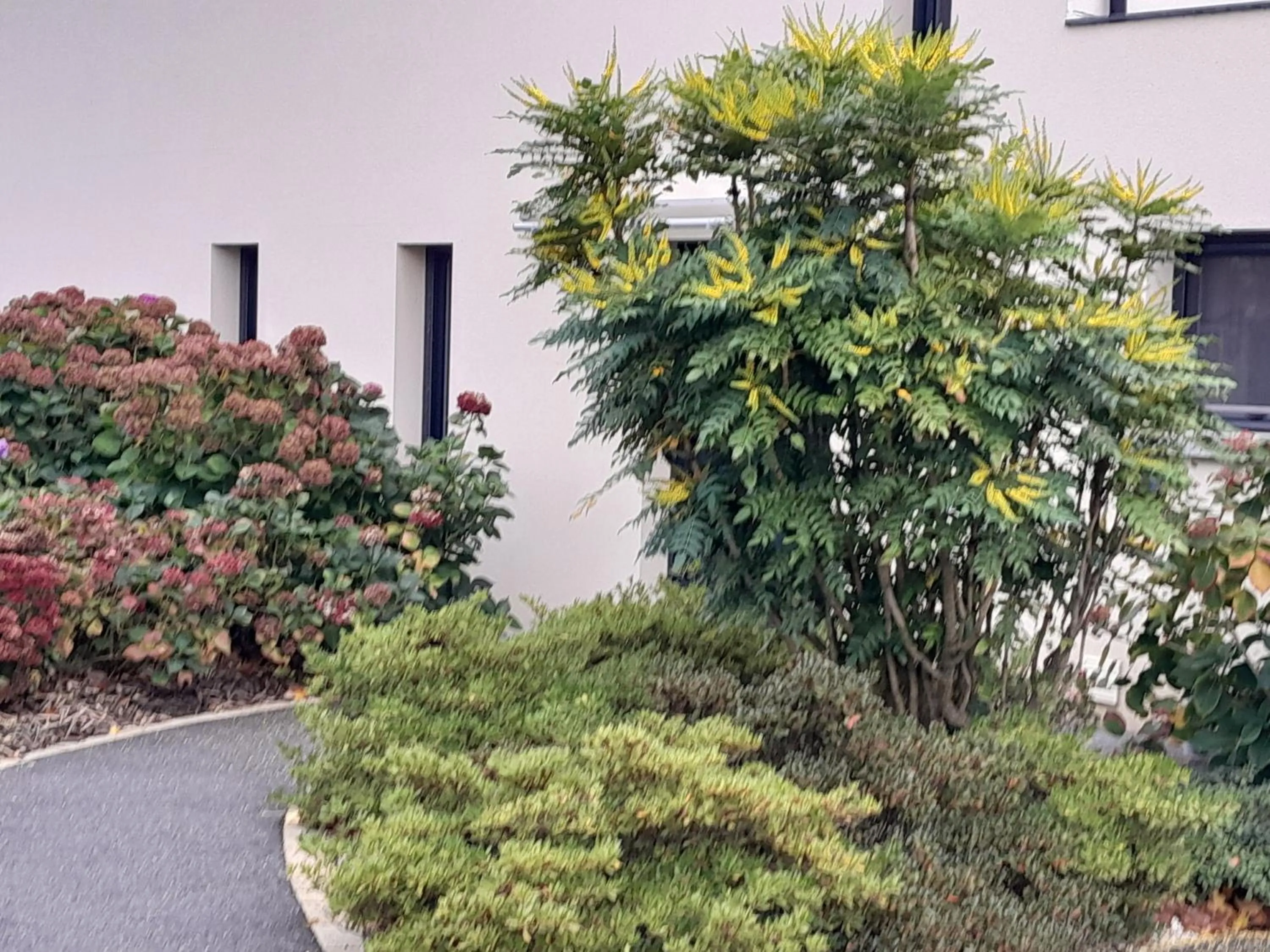 Chambre d'hôtes Les Bruyères