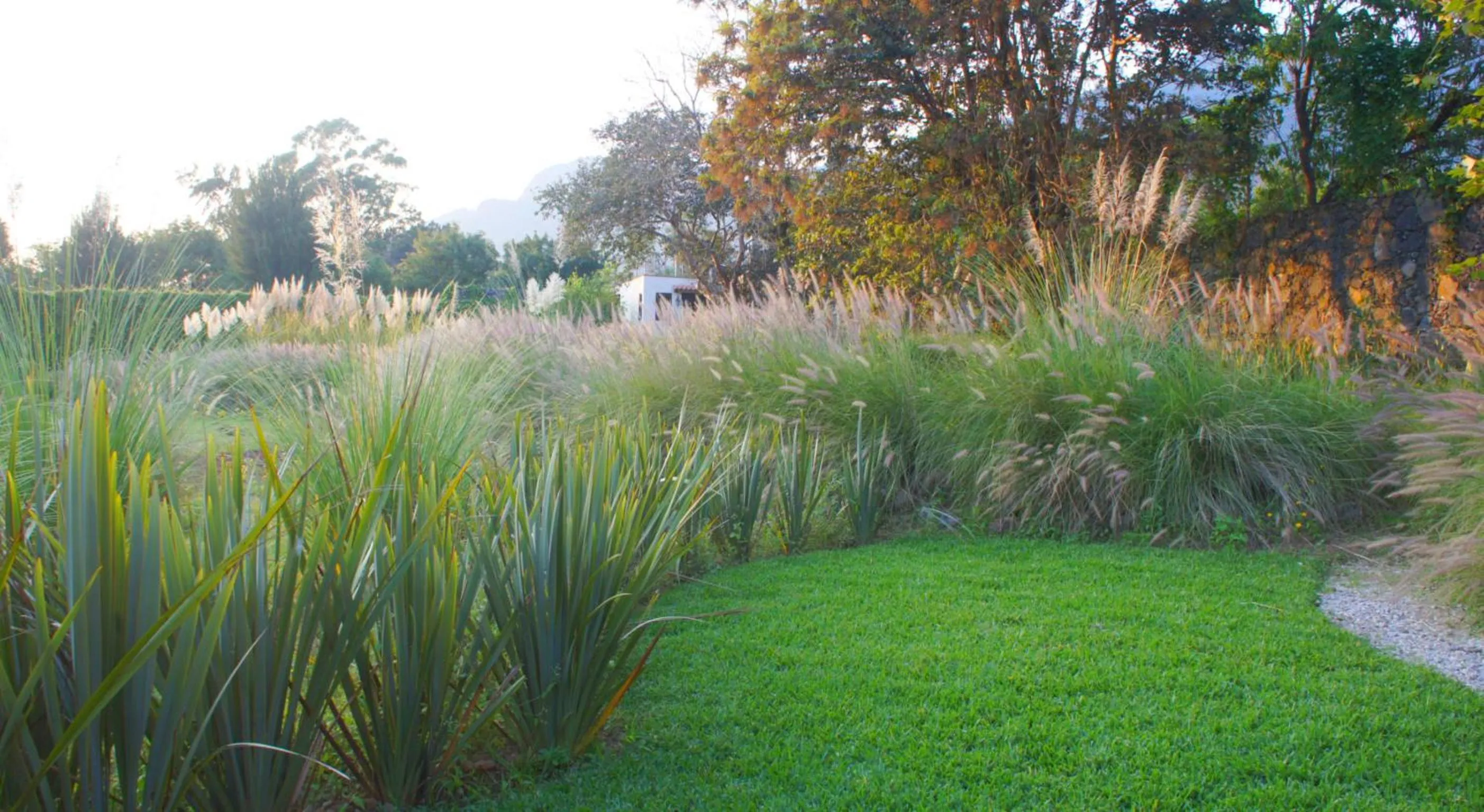 Garden in Quinta GYO
