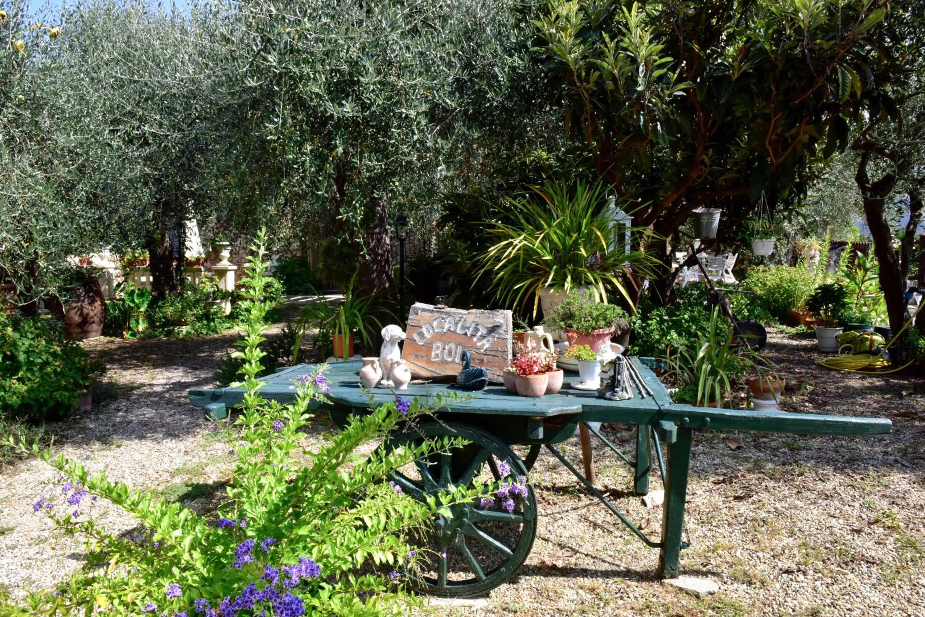 Garden in Locanda Dei Boi