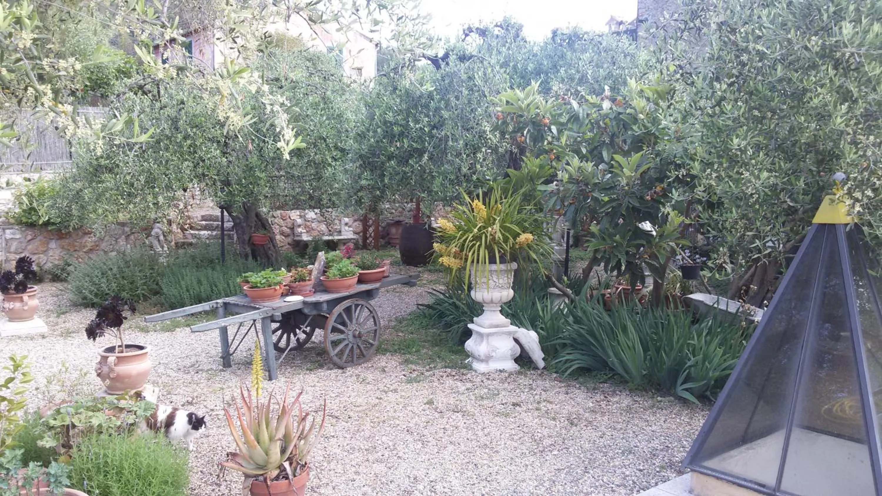 Day in Locanda Dei Boi