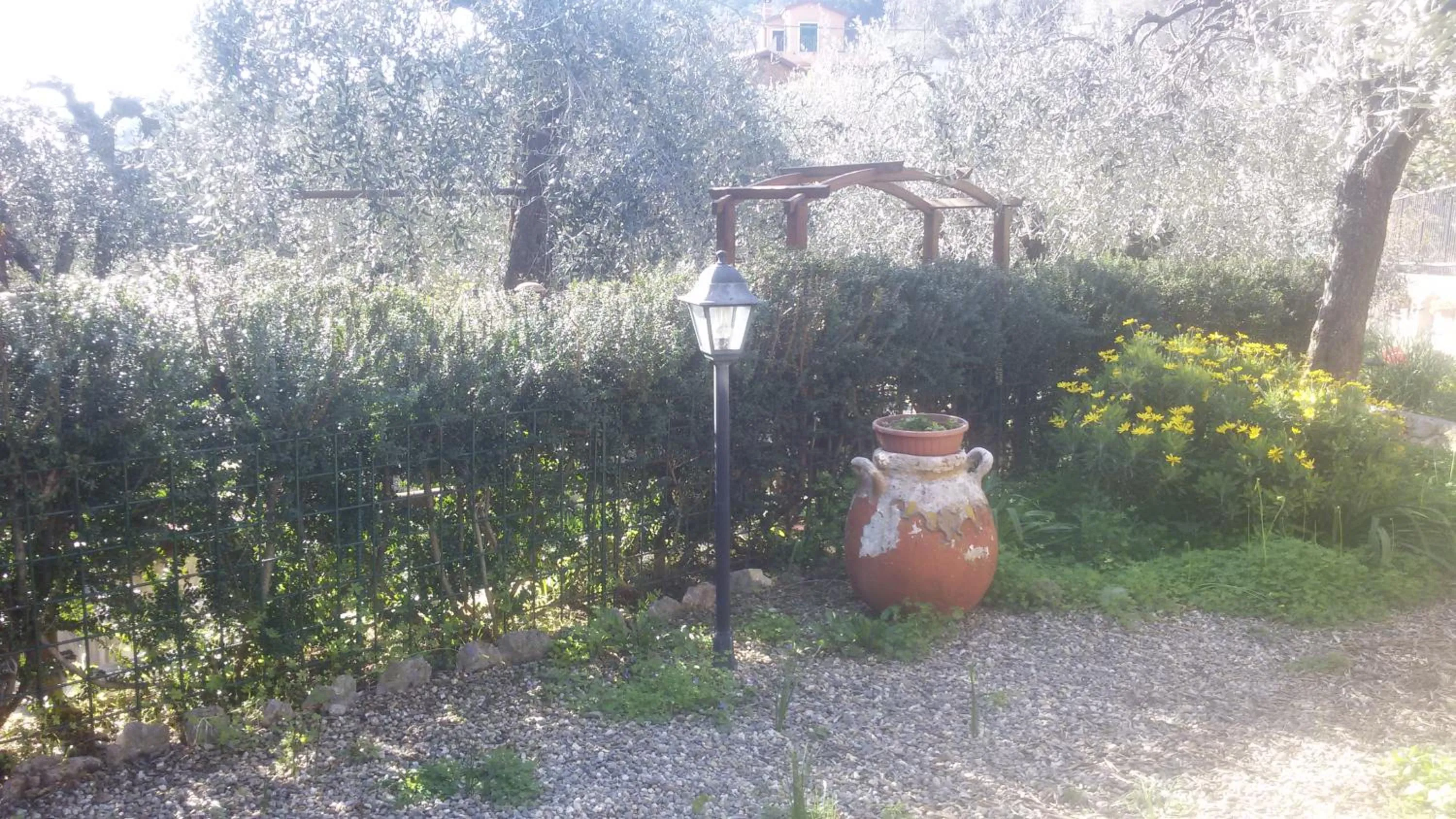 Garden in Locanda Dei Boi