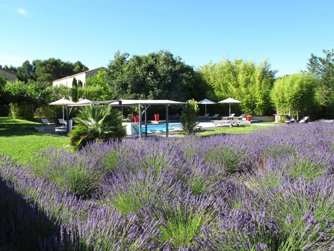 Spring in La Cour Des Sens