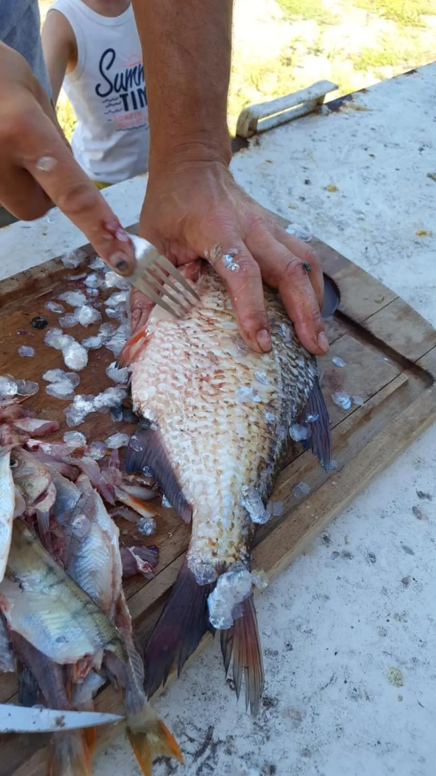 Fishing in Pod Kasztanem