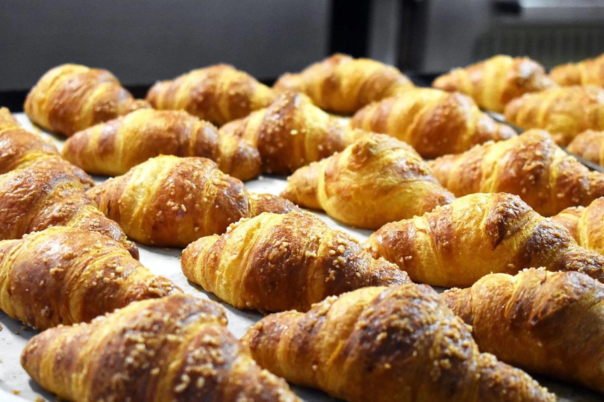 Food in Hotel Europa